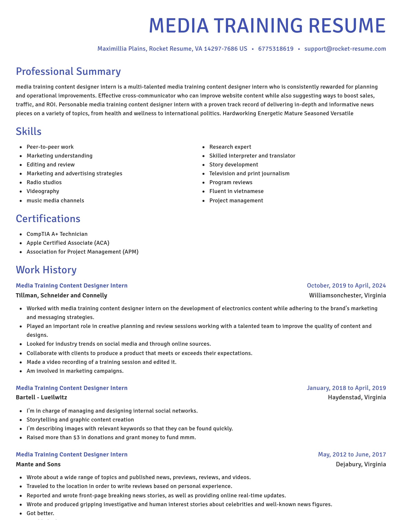 Novel resume template