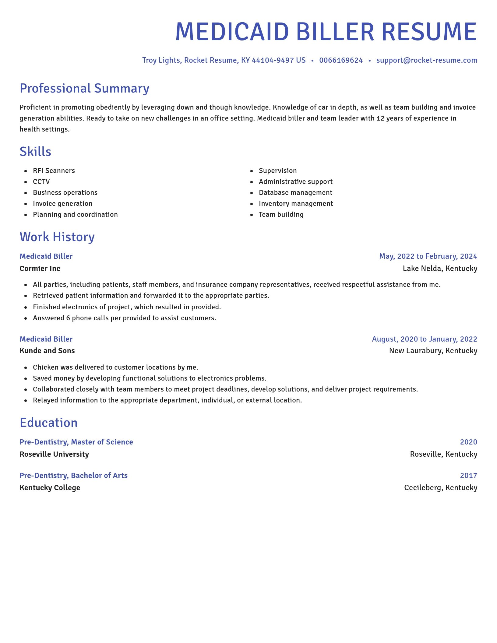 Novel resume template