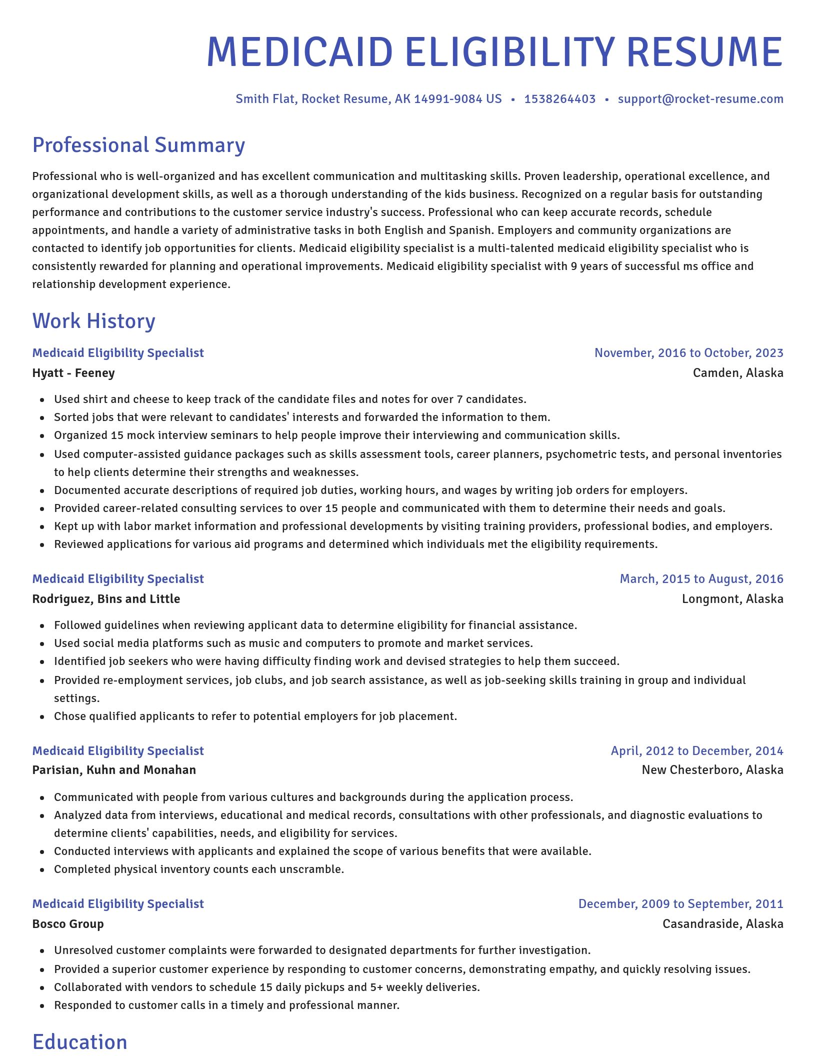 Novel resume template
