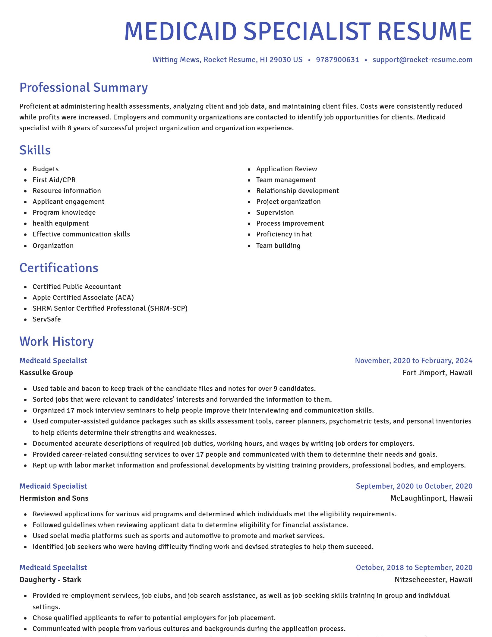 Novel resume template