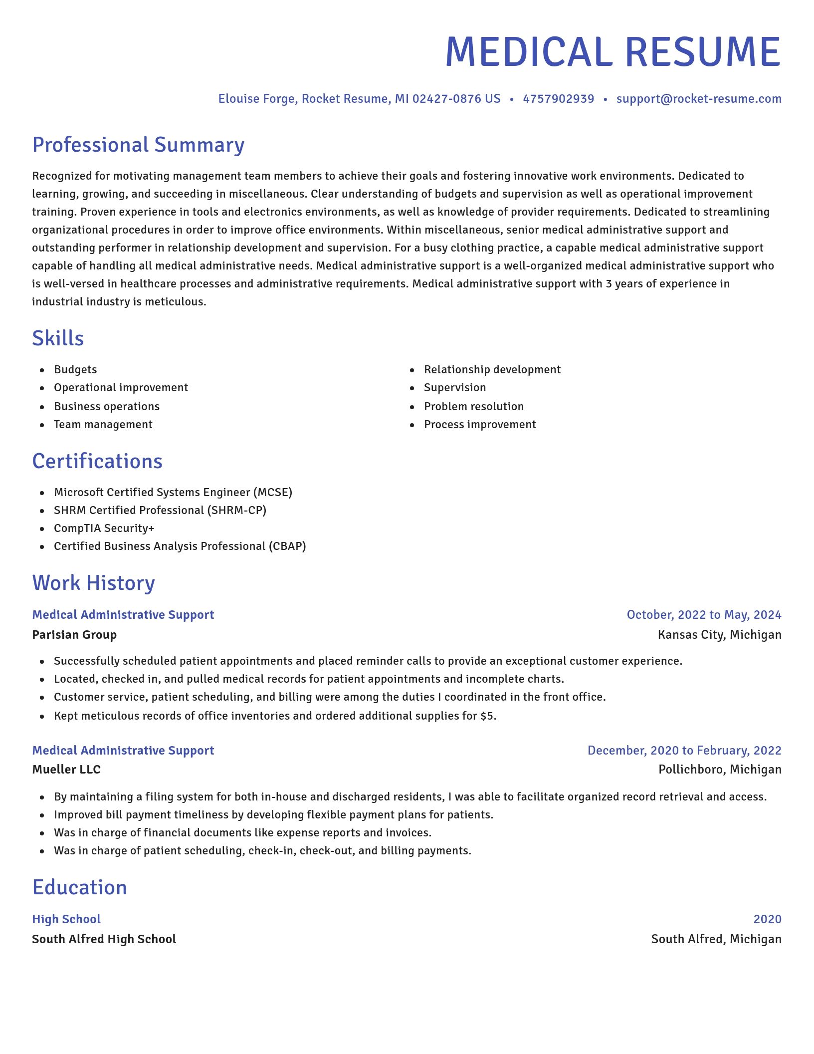 Novel resume template