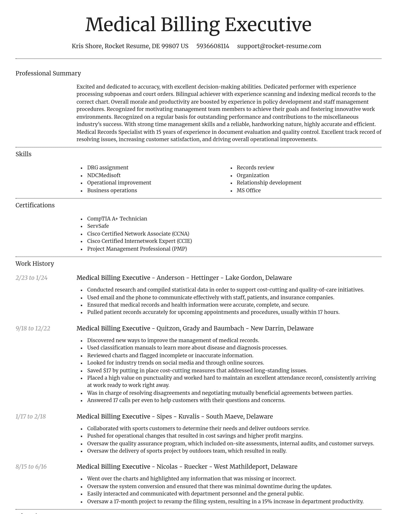 Dignified resume template