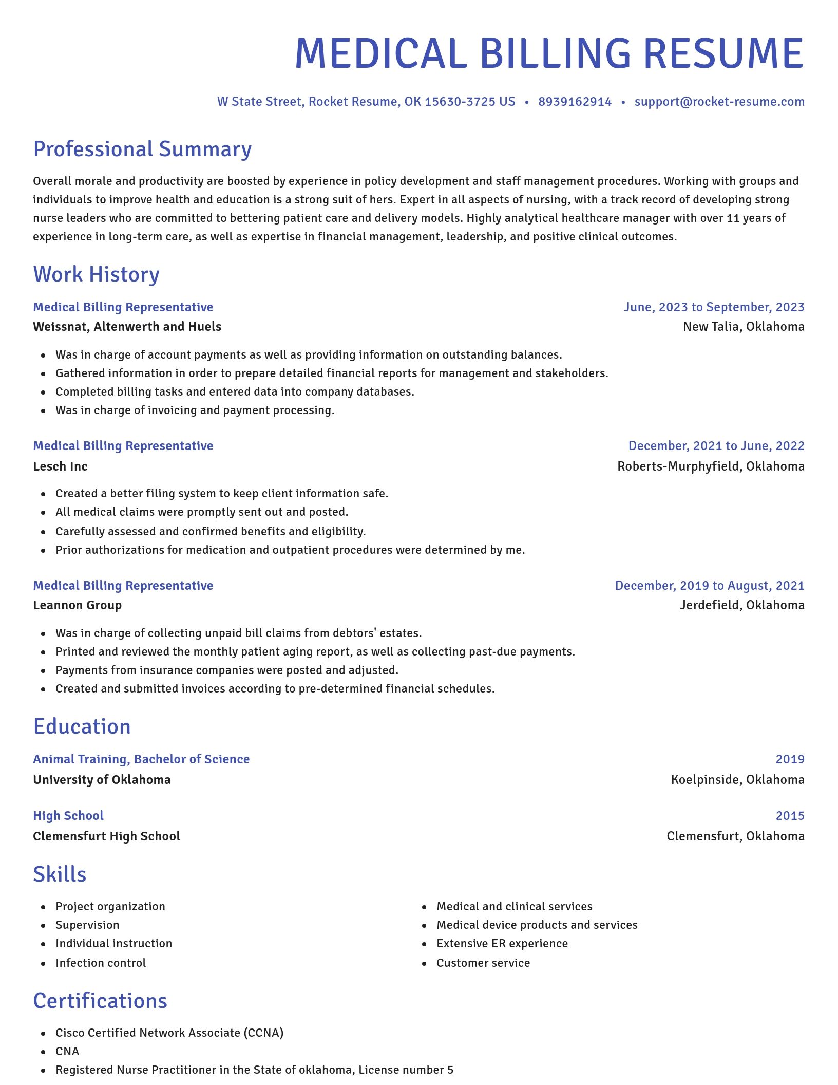 Novel resume template