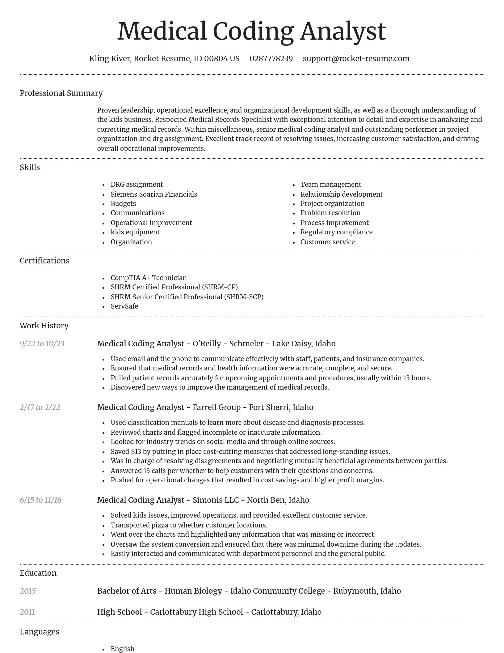 Dignified resume template