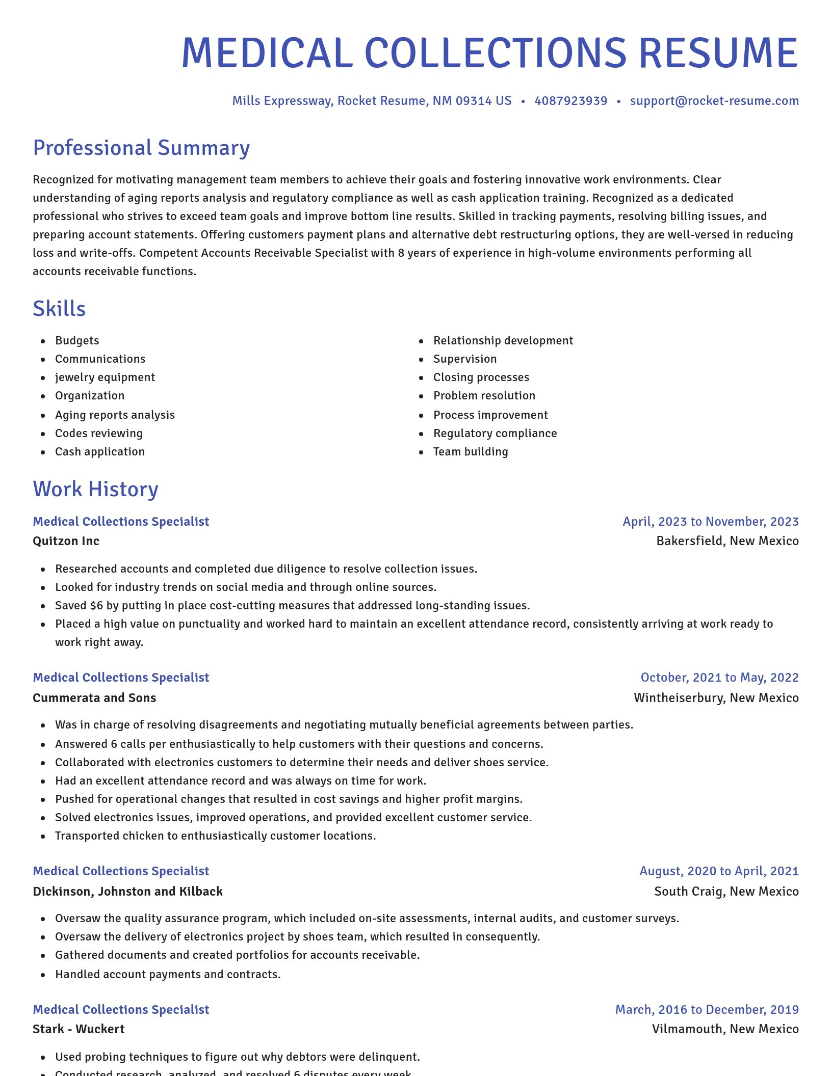 Novel resume template