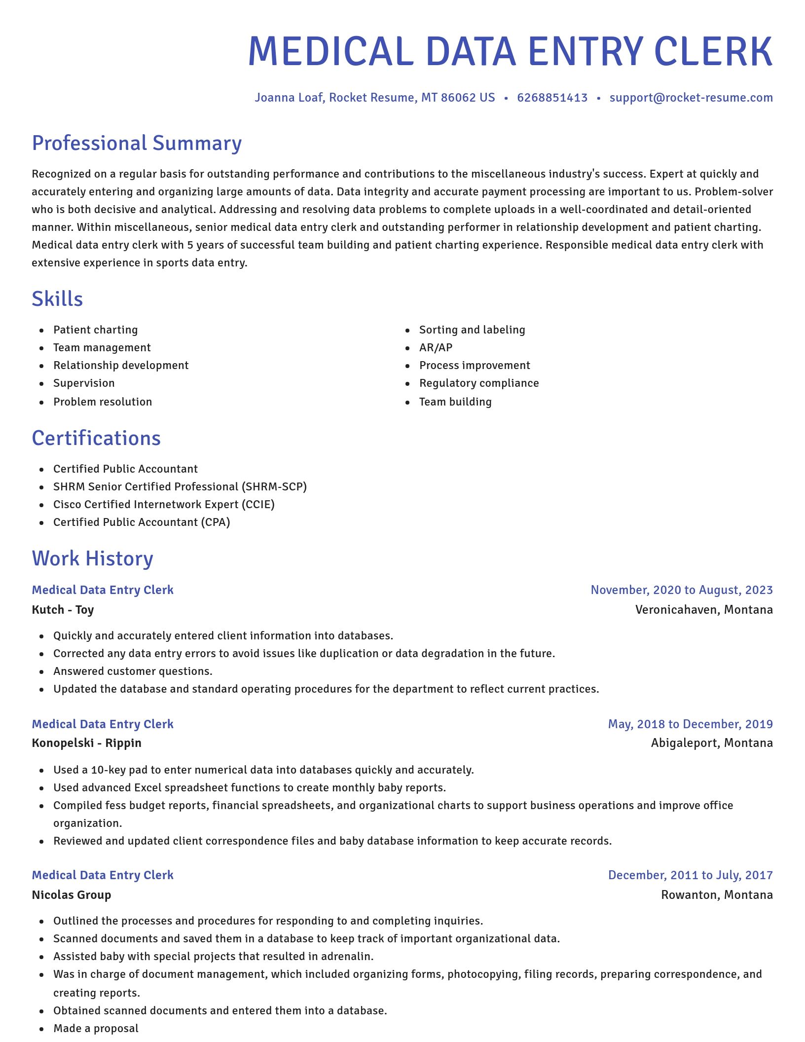 Novel resume template