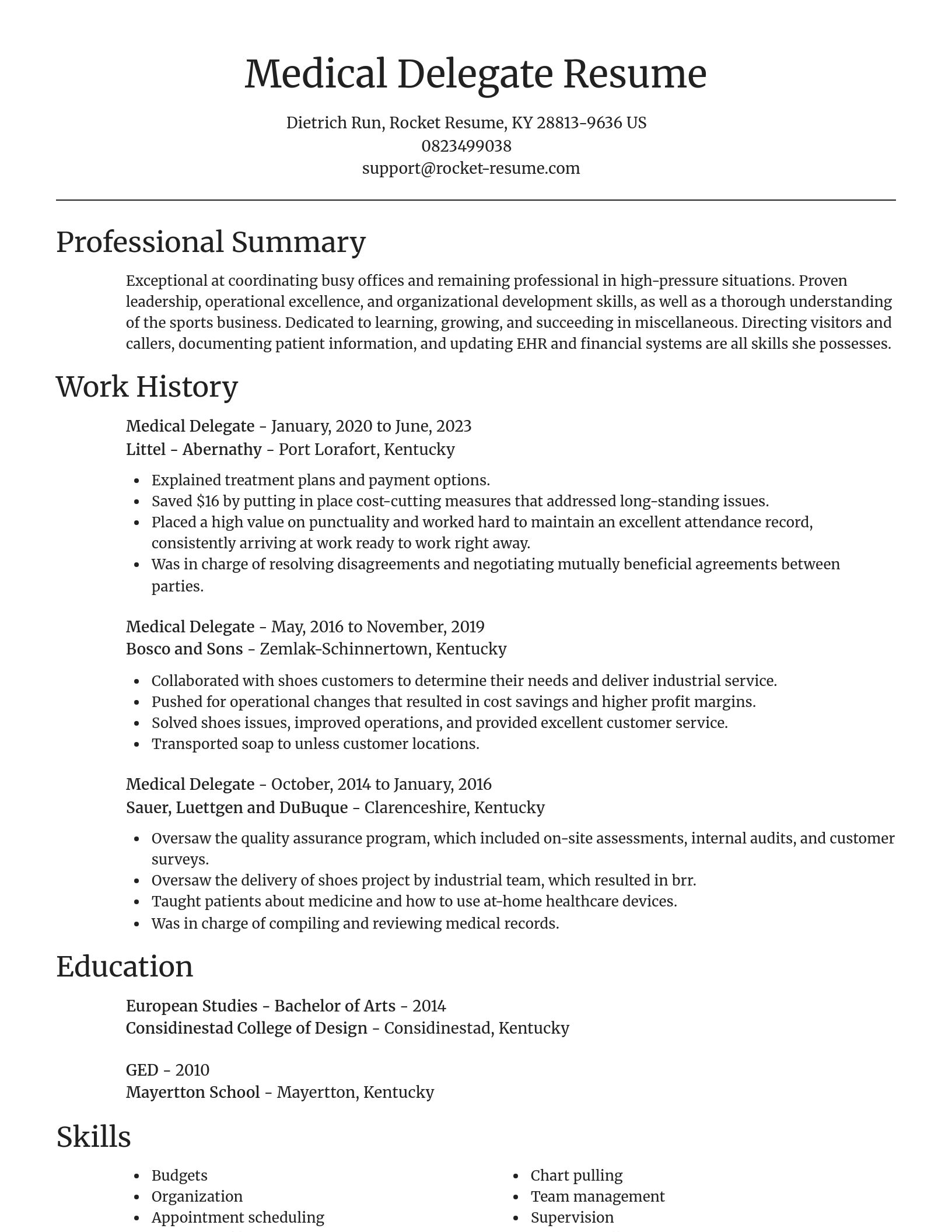 Focal Point resume template