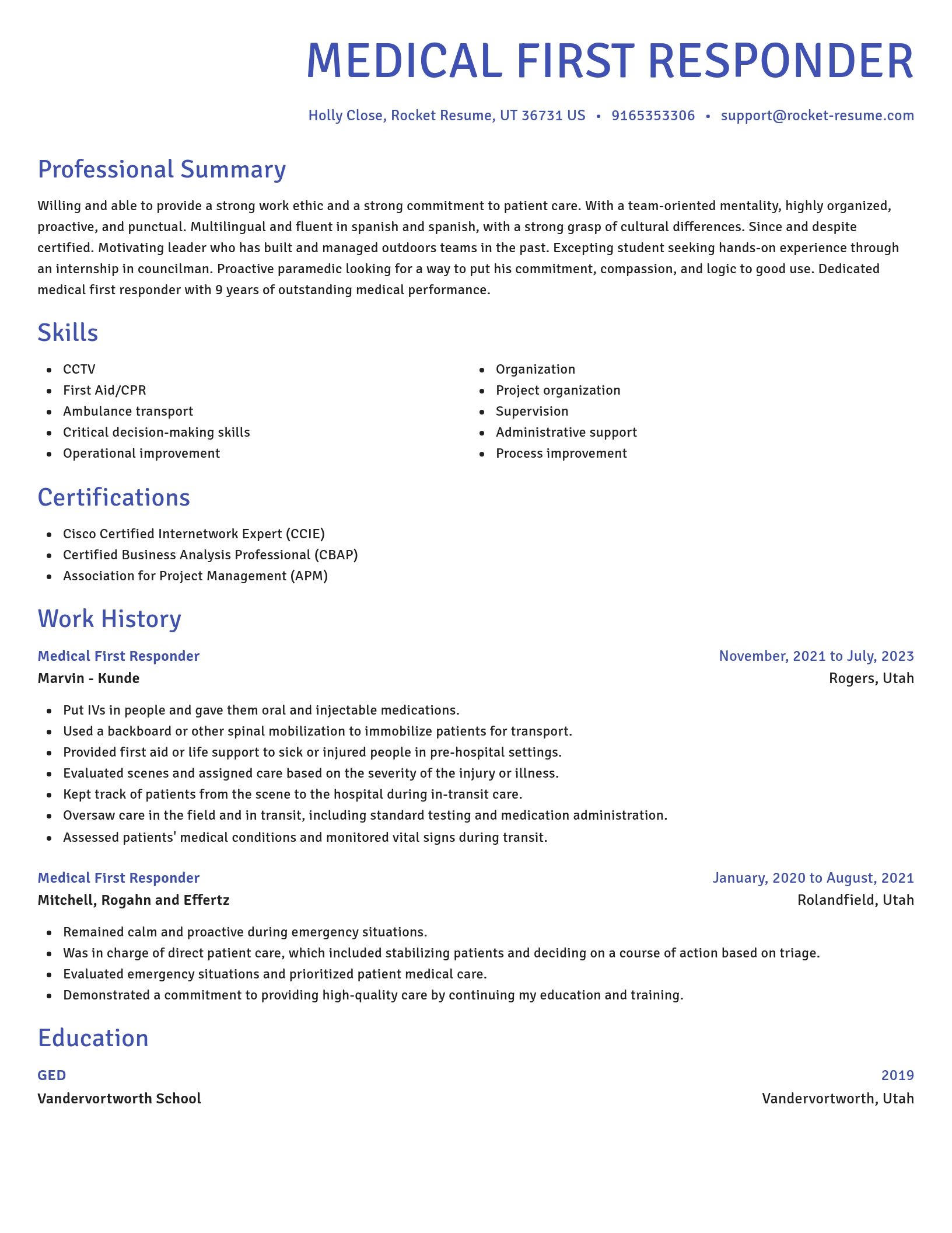 Novel resume template