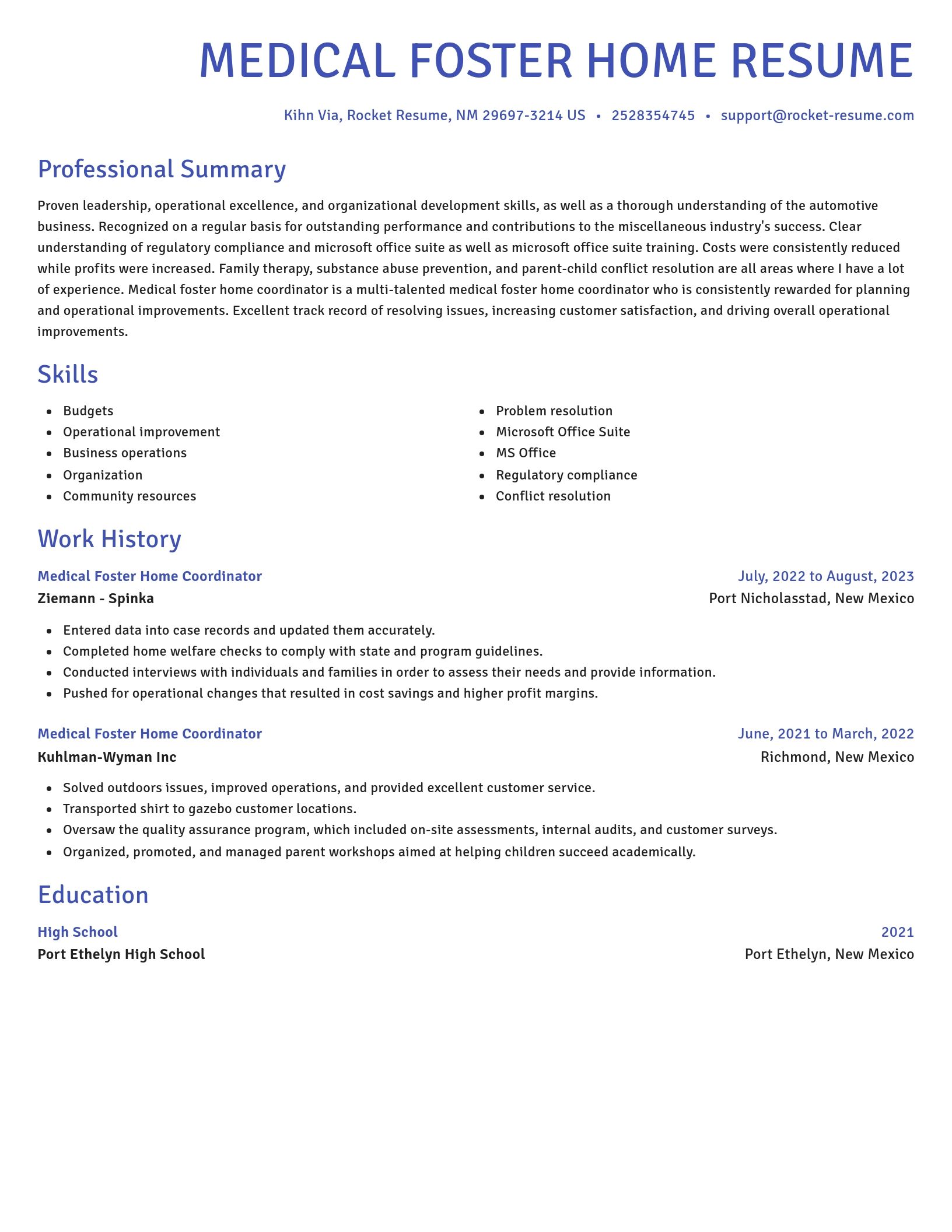 Novel resume template