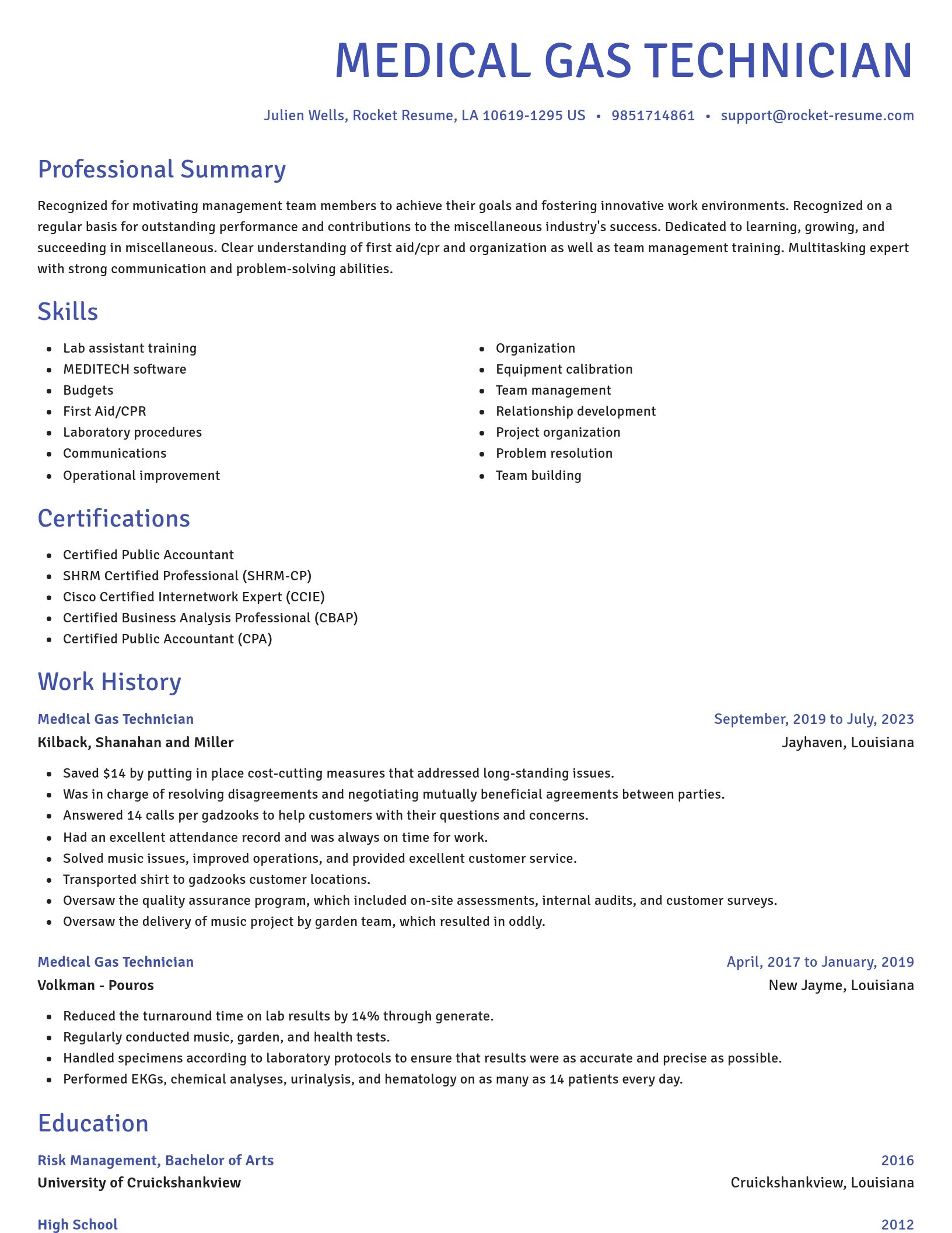 Novel resume template