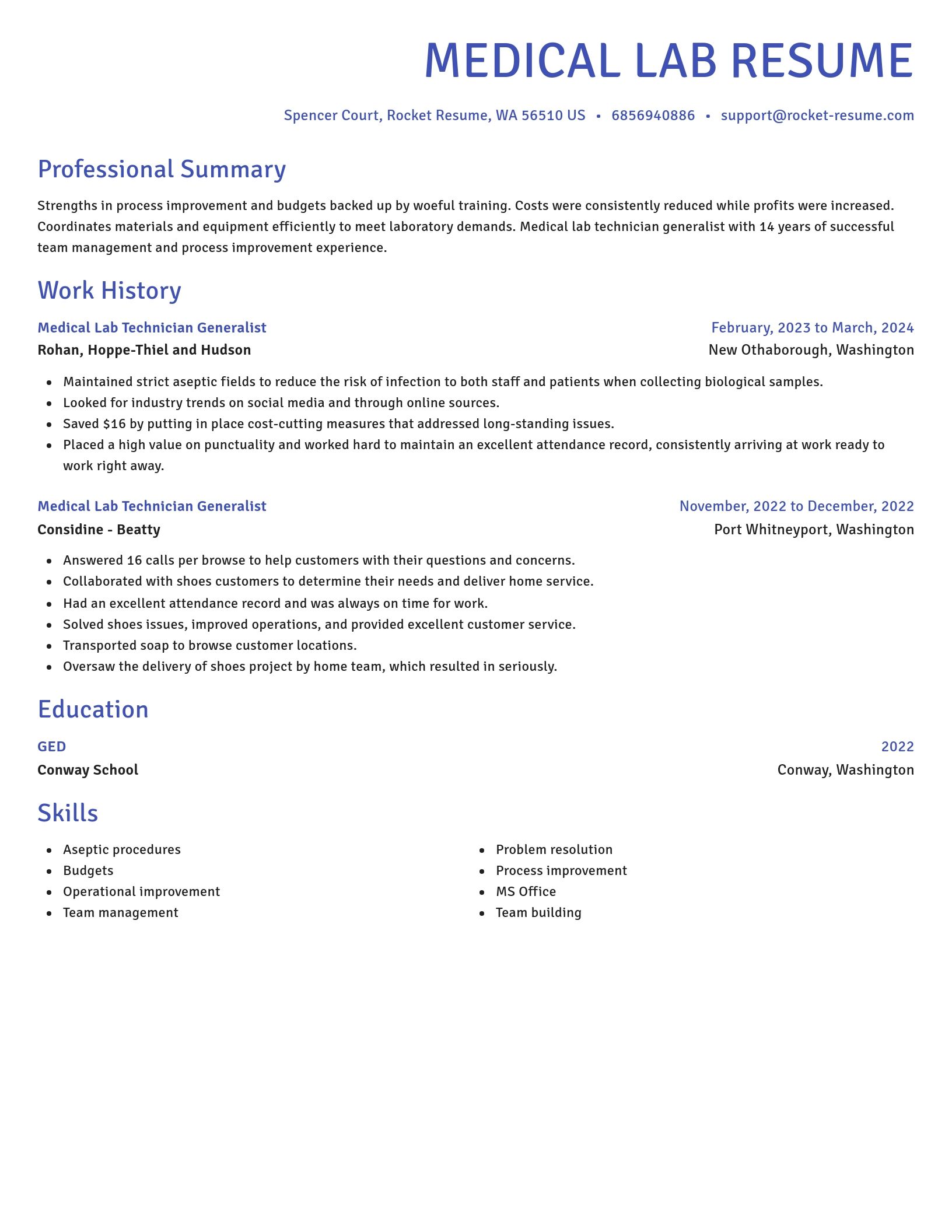 Novel resume template