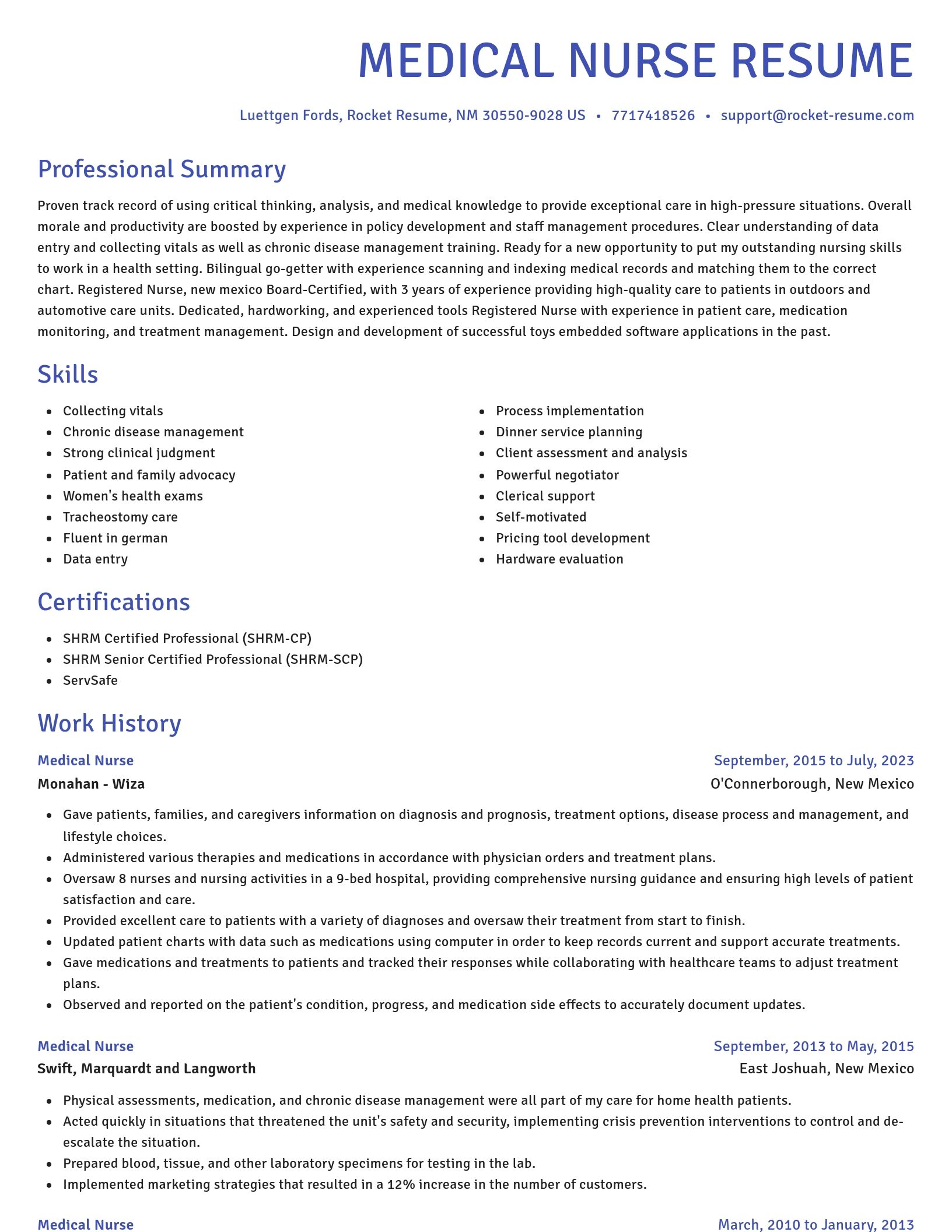 Novel resume template
