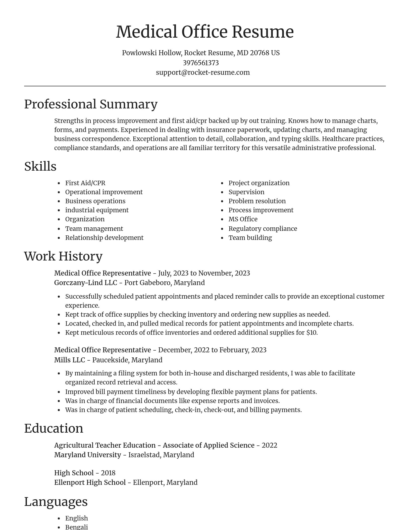 Focal Point resume template