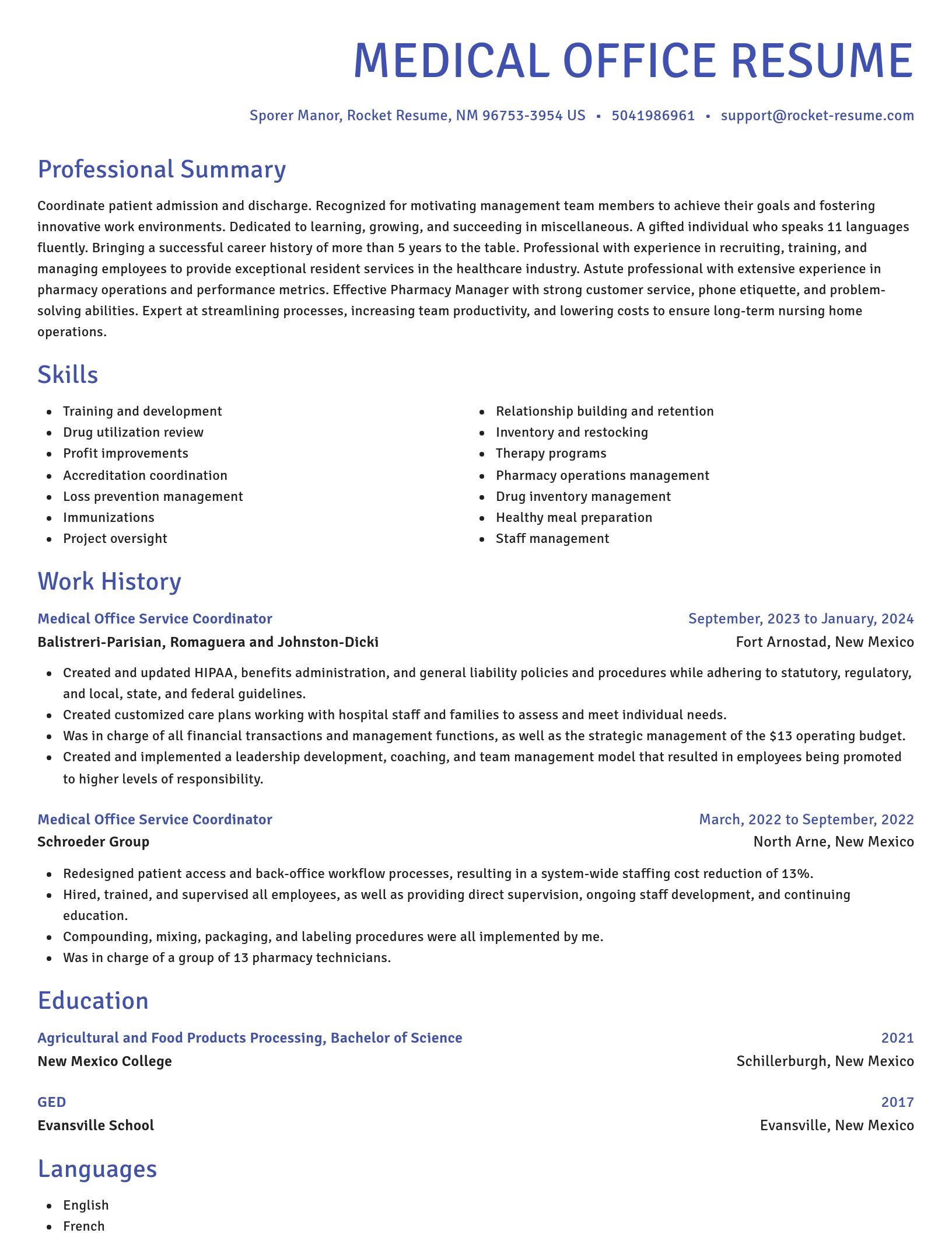 Novel resume template