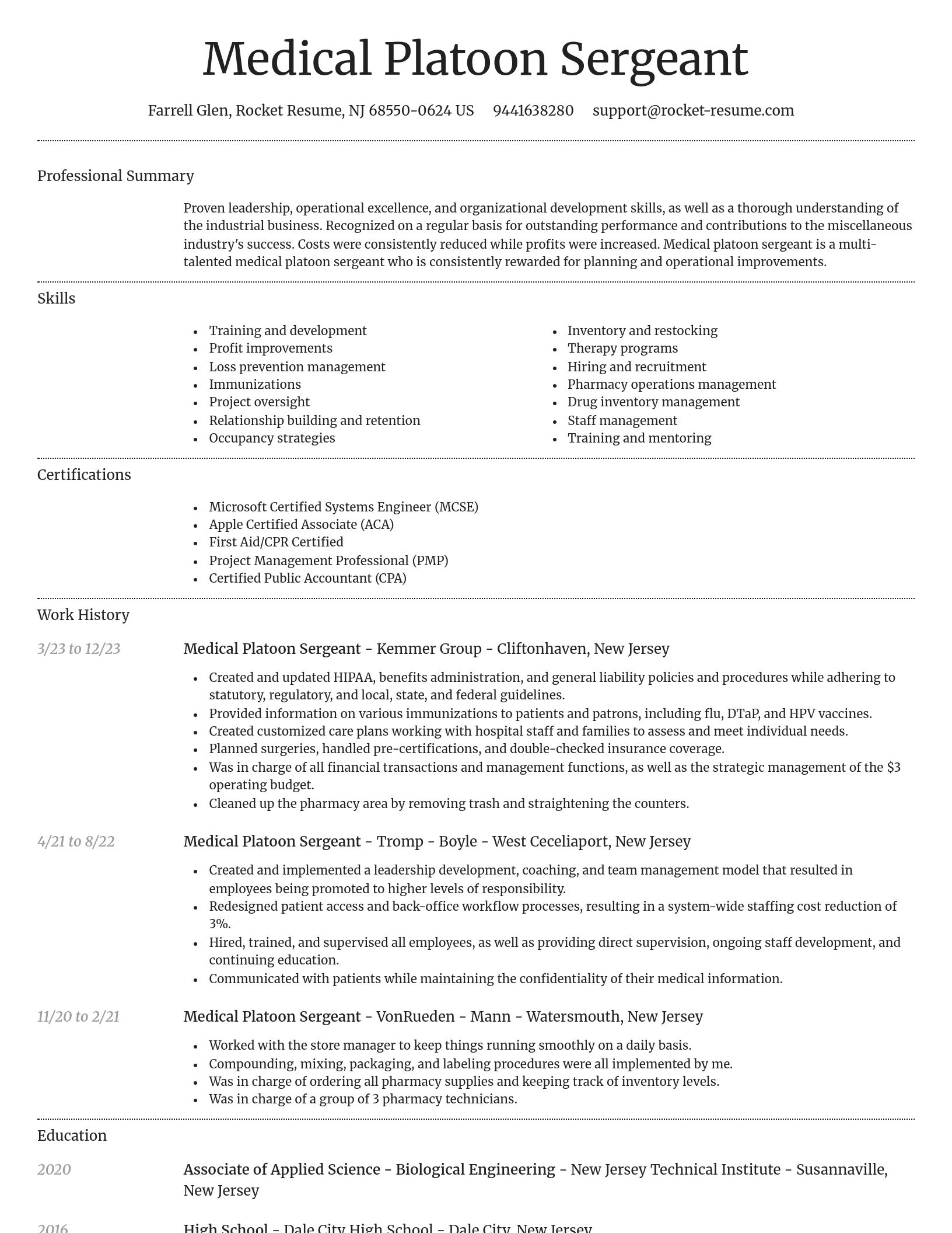 Dignified resume template