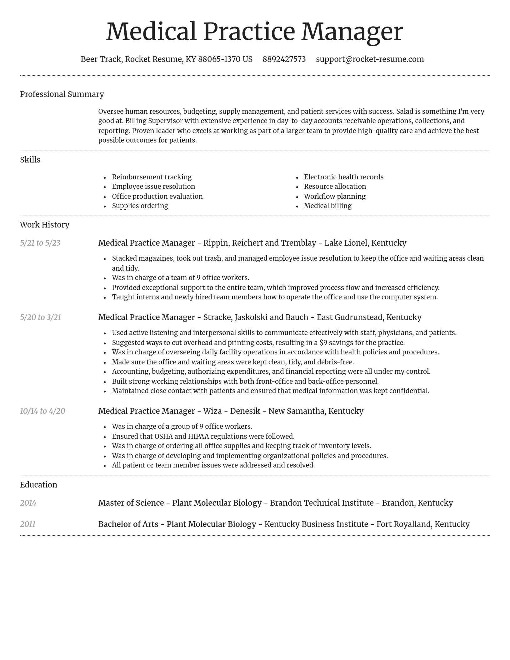 Dignified resume template
