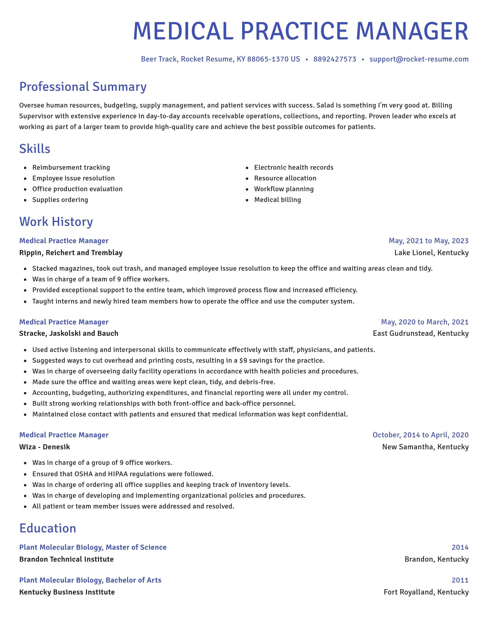 Novel resume template
