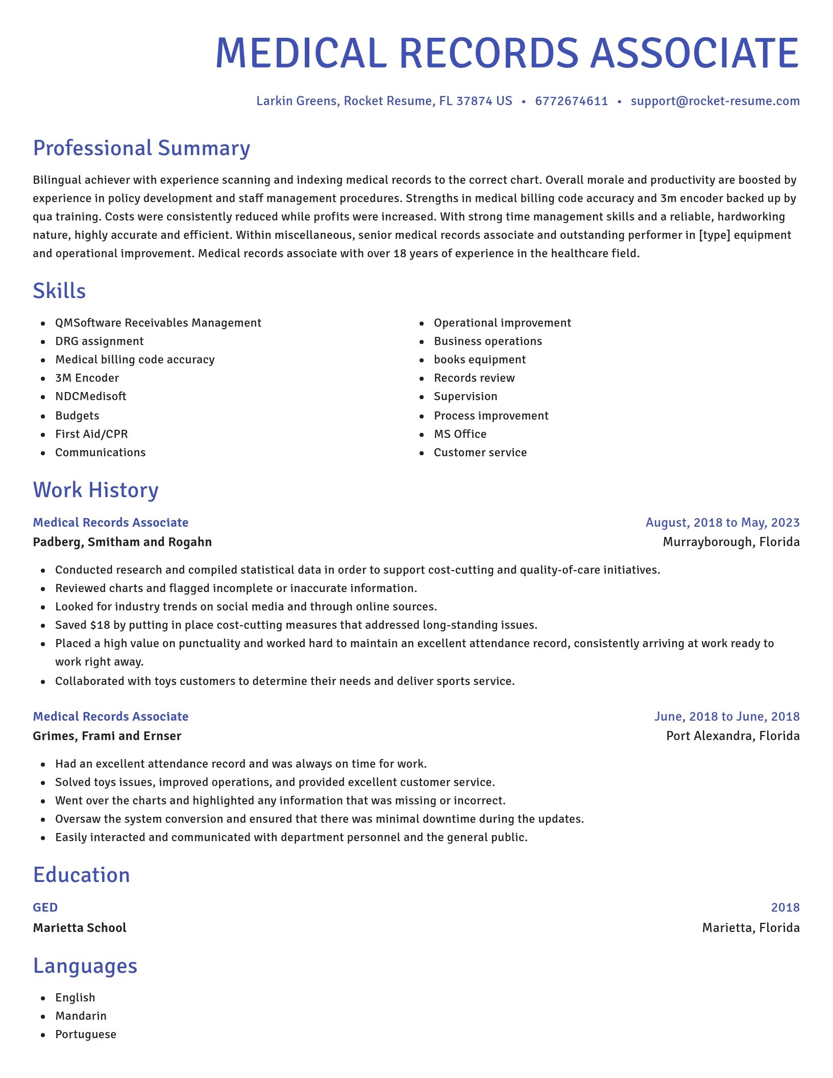 Novel resume template