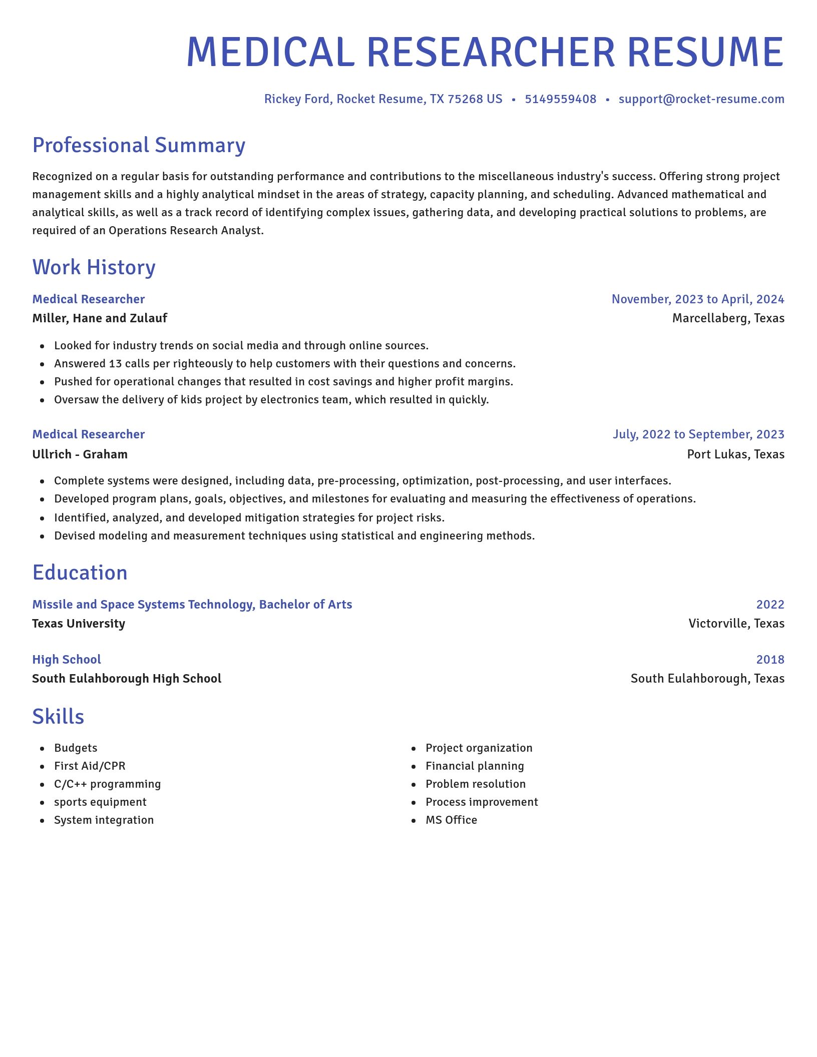 Novel resume template