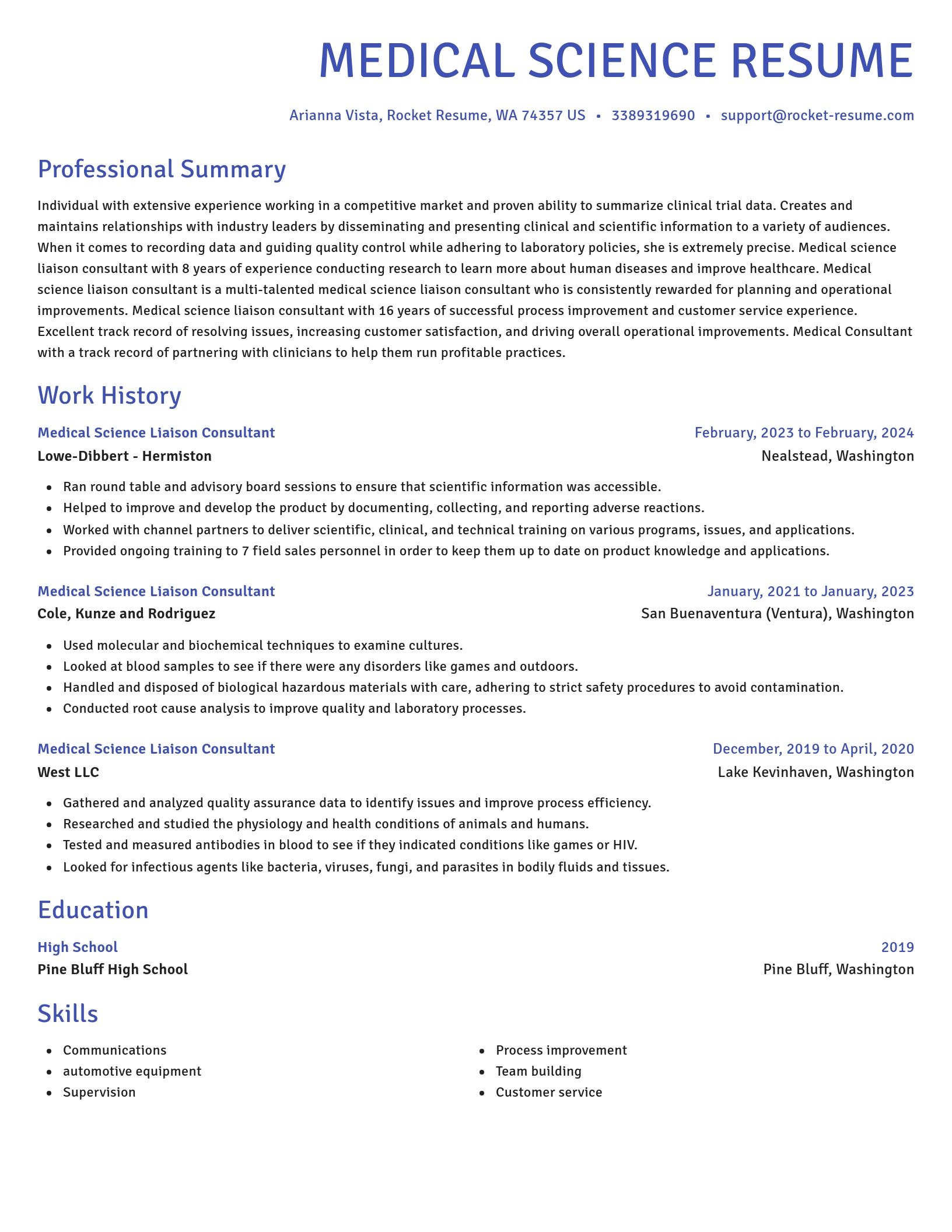 Novel resume template