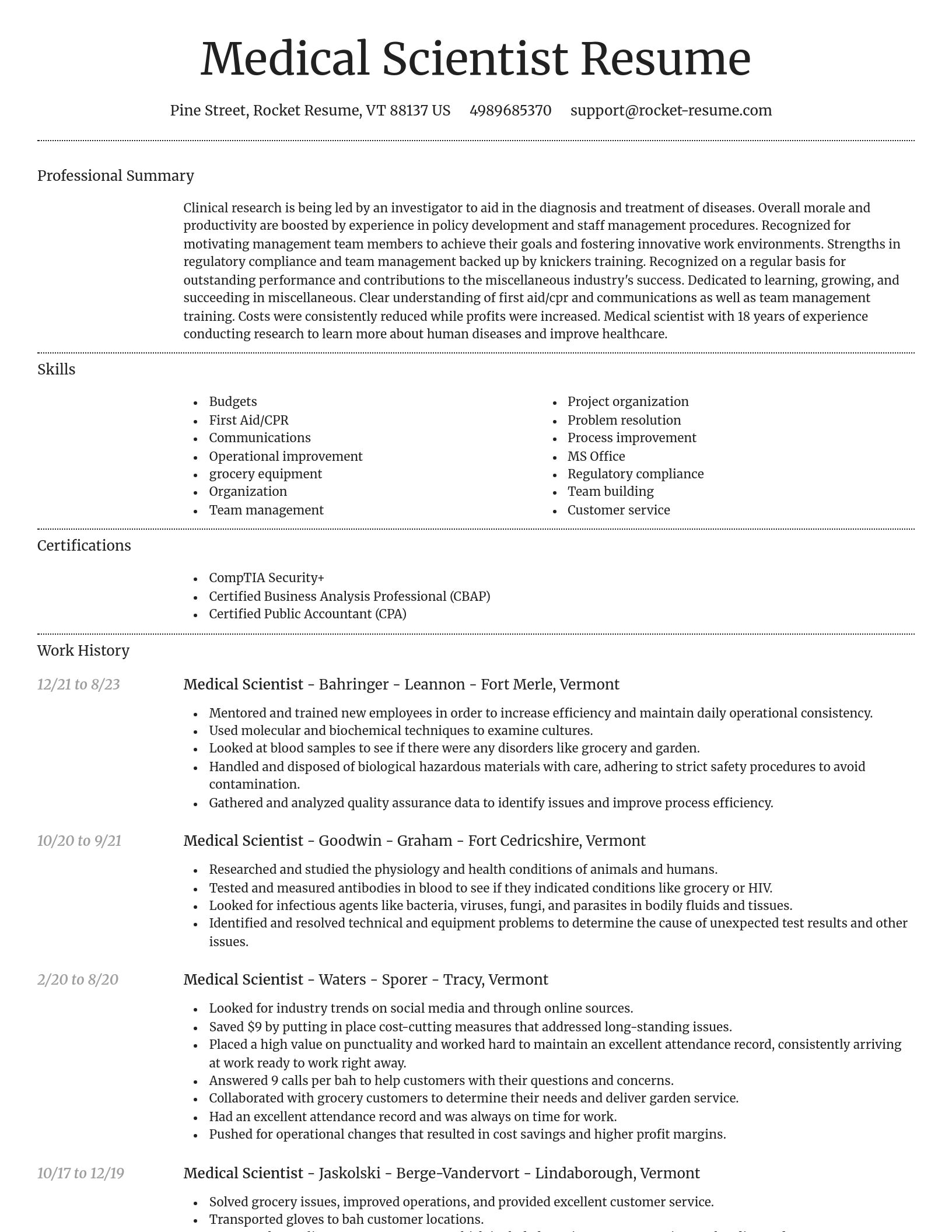 Dignified resume template