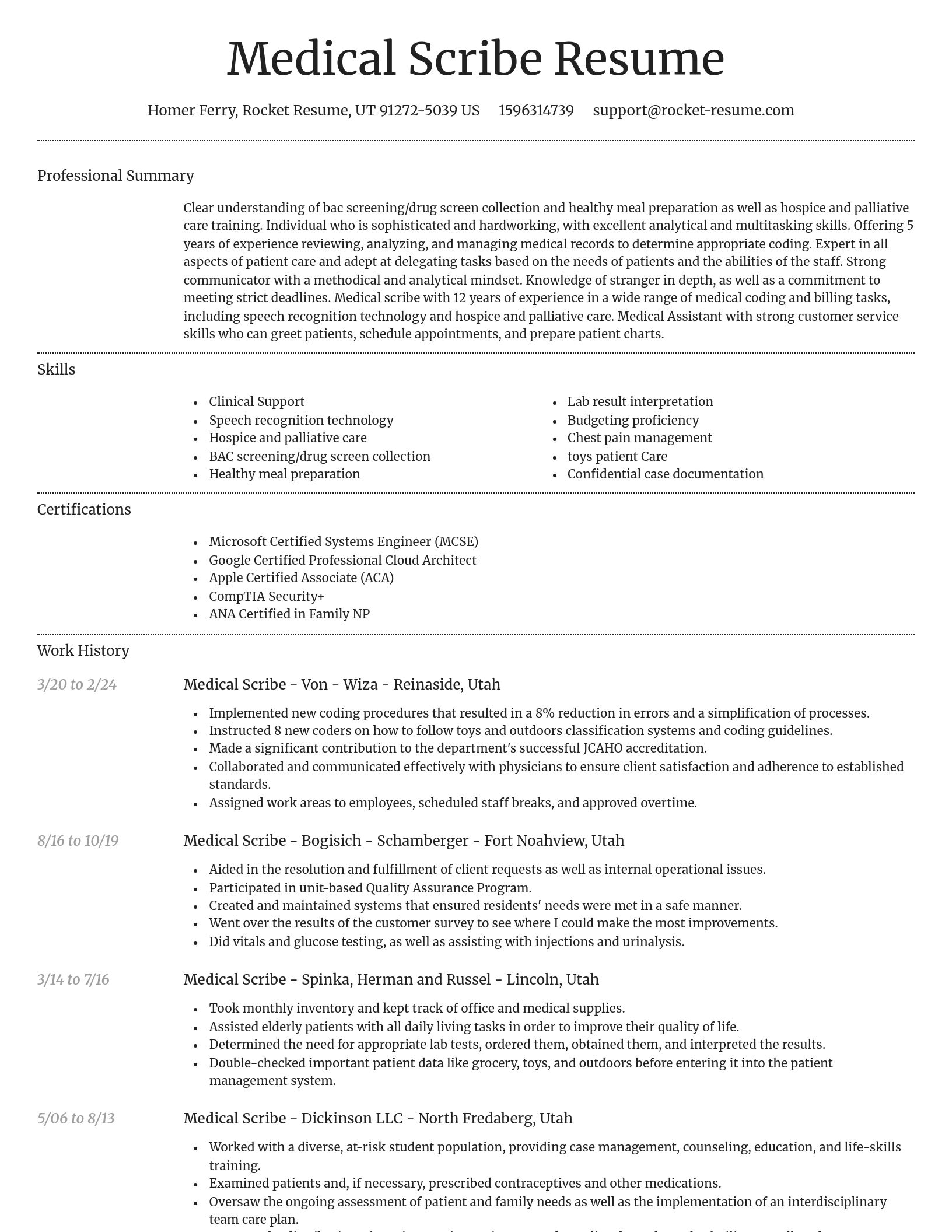 Dignified resume template