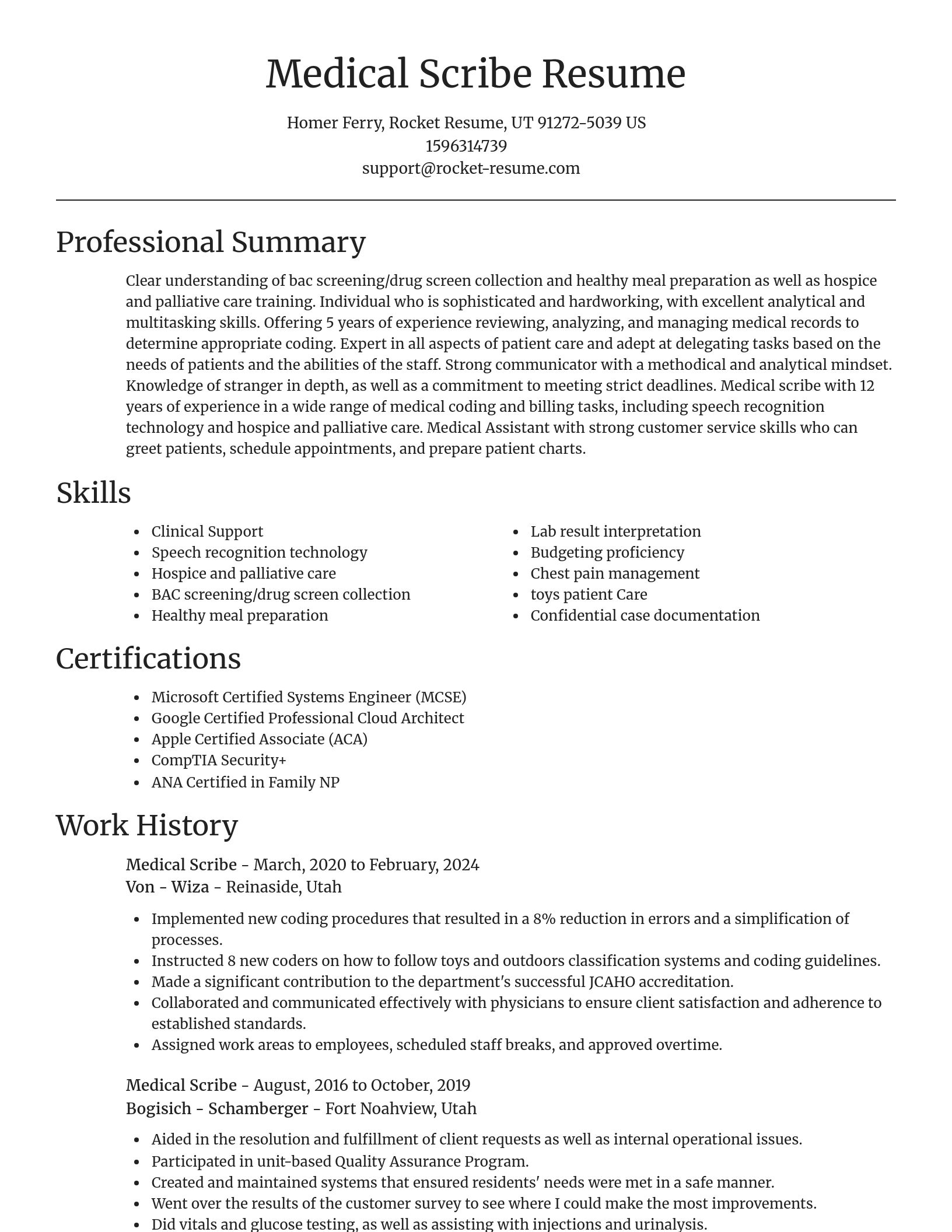 Focal Point resume template