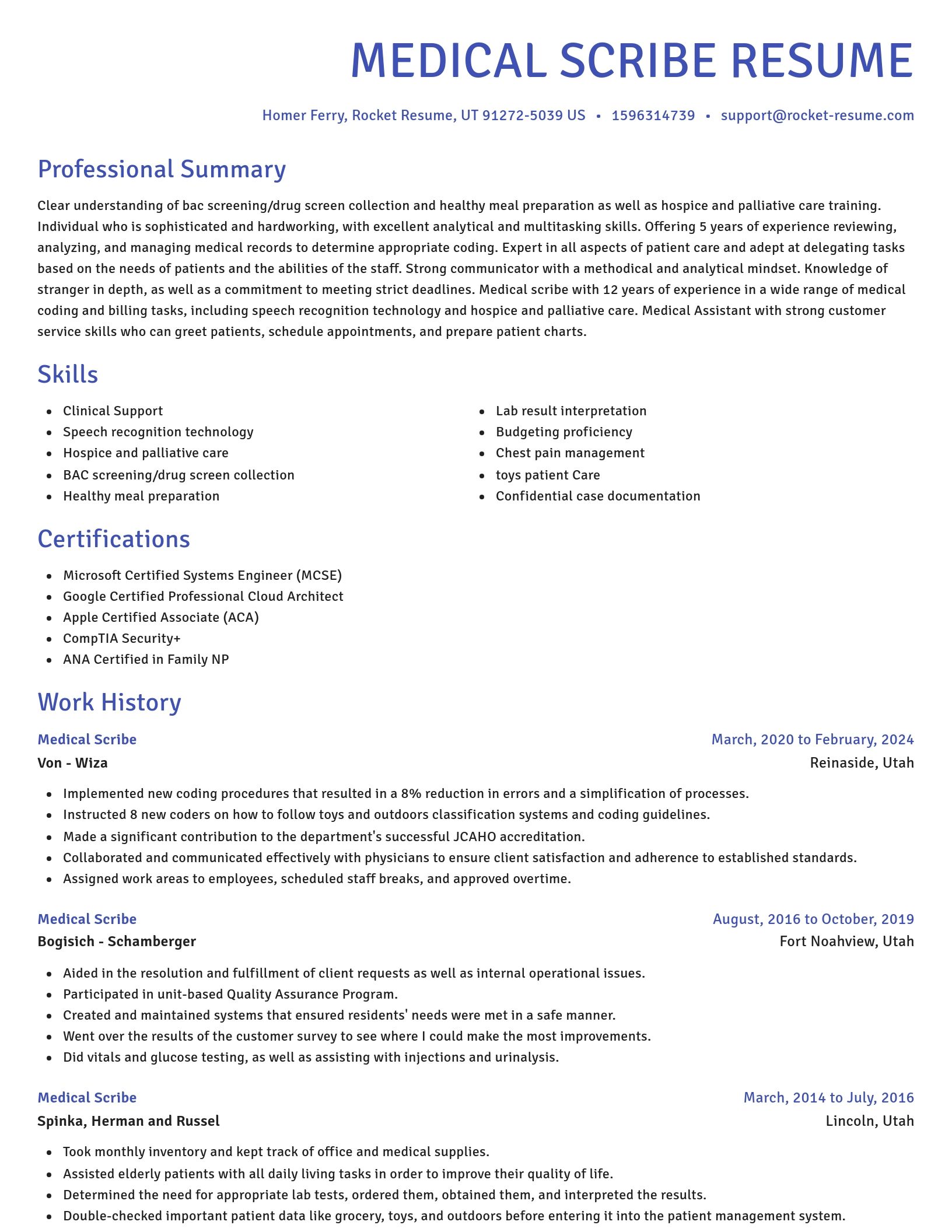 Novel resume template