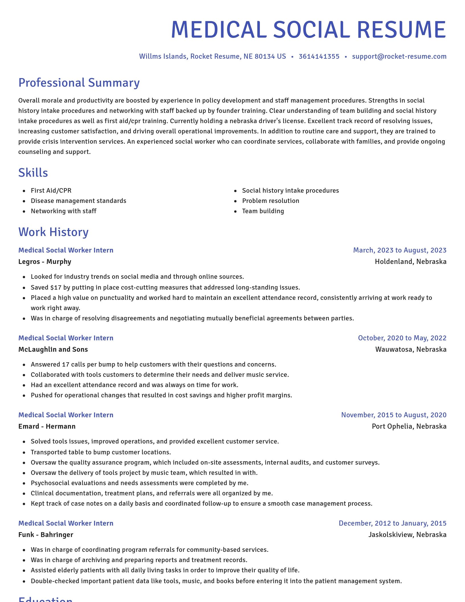 Novel resume template