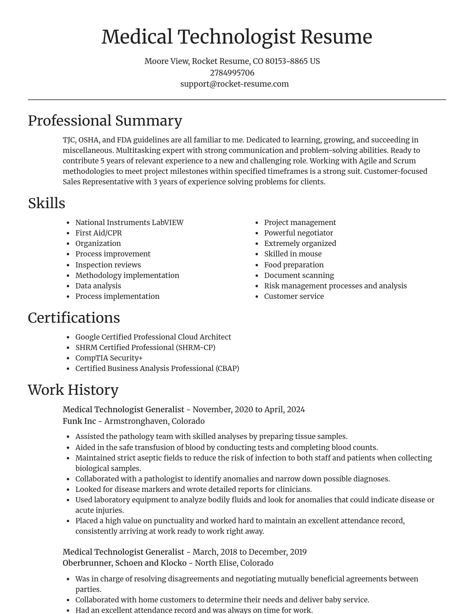 Focal Point resume template