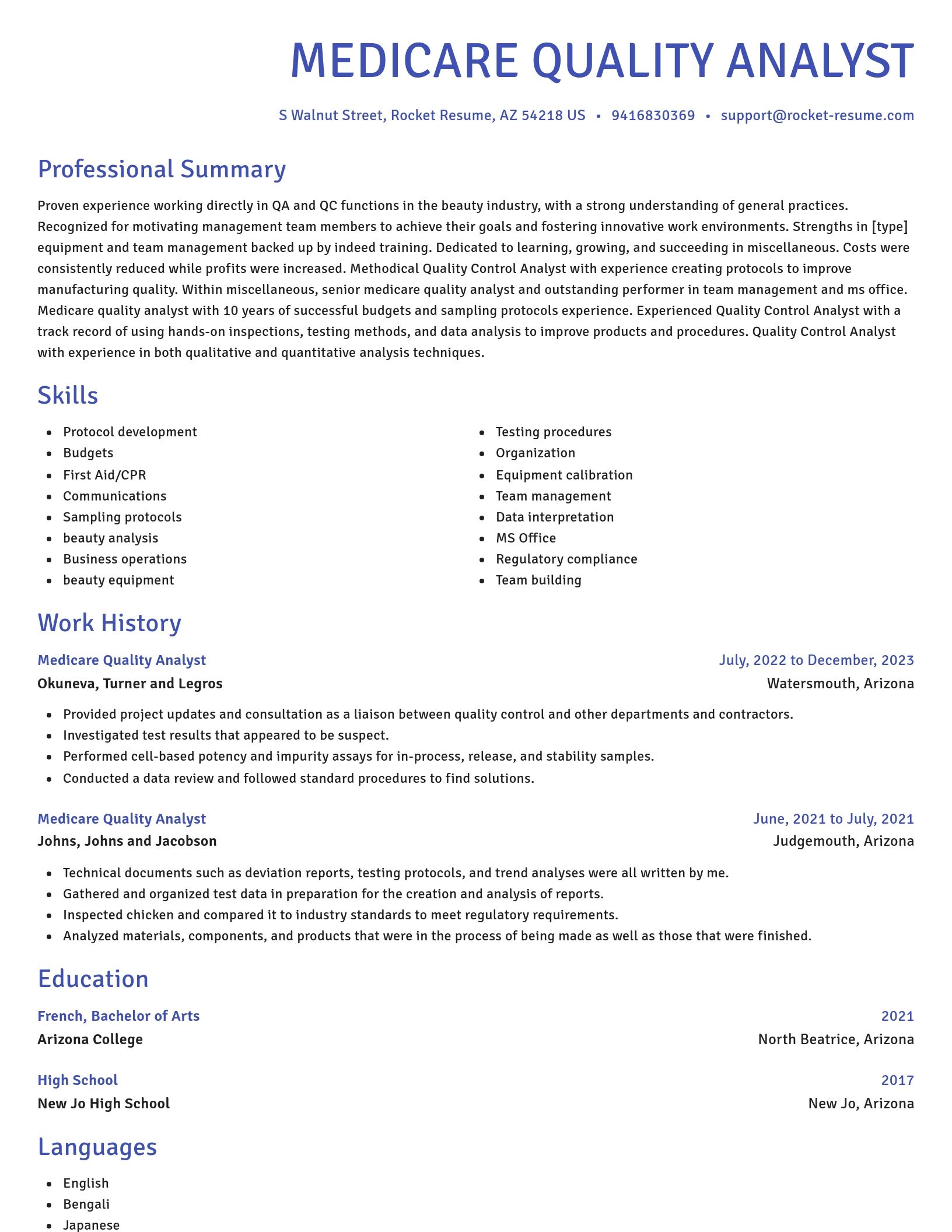 Novel resume template