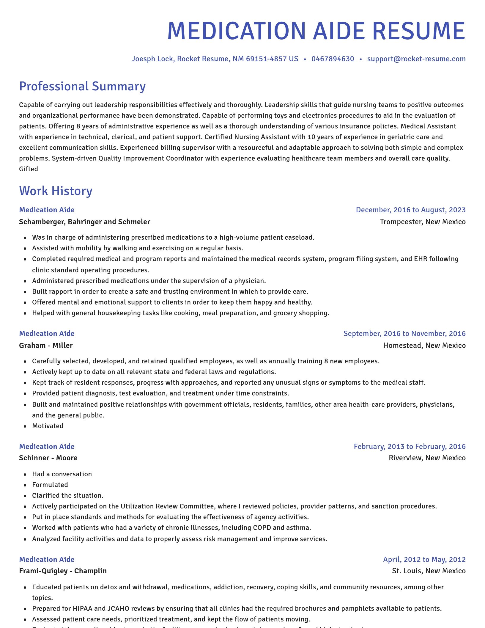 Novel resume template