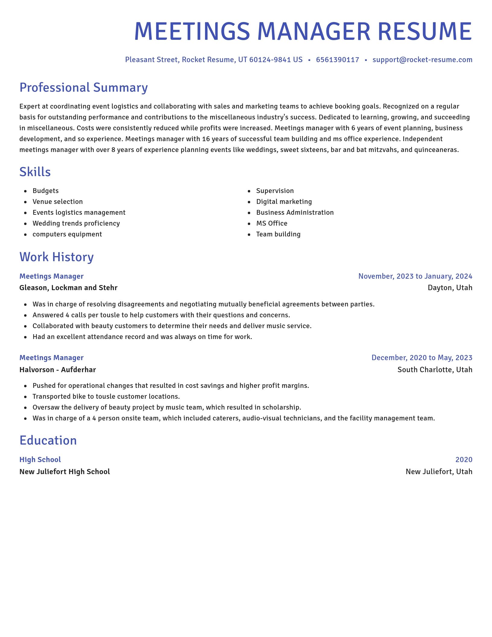 Novel resume template