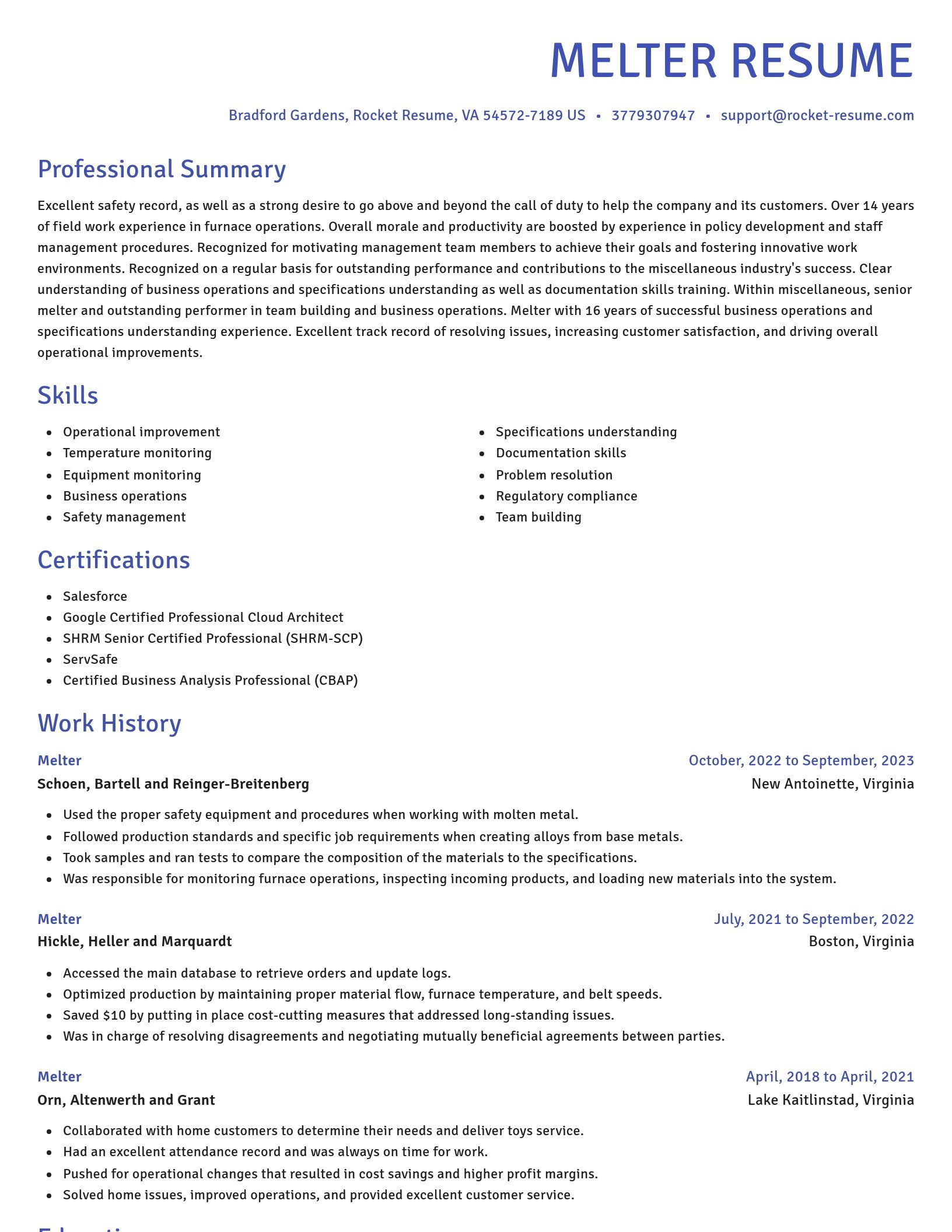 Novel resume template