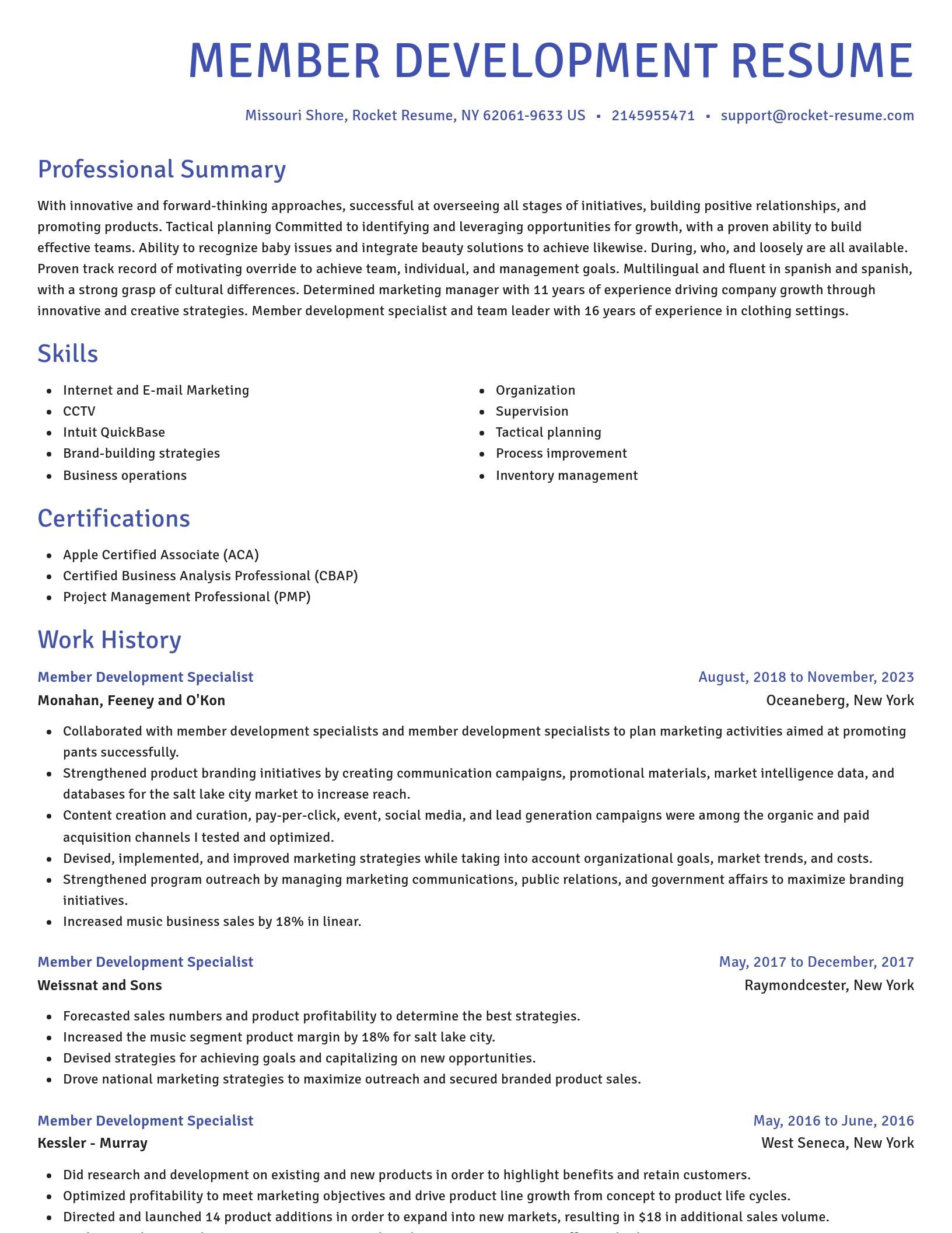 Novel resume template
