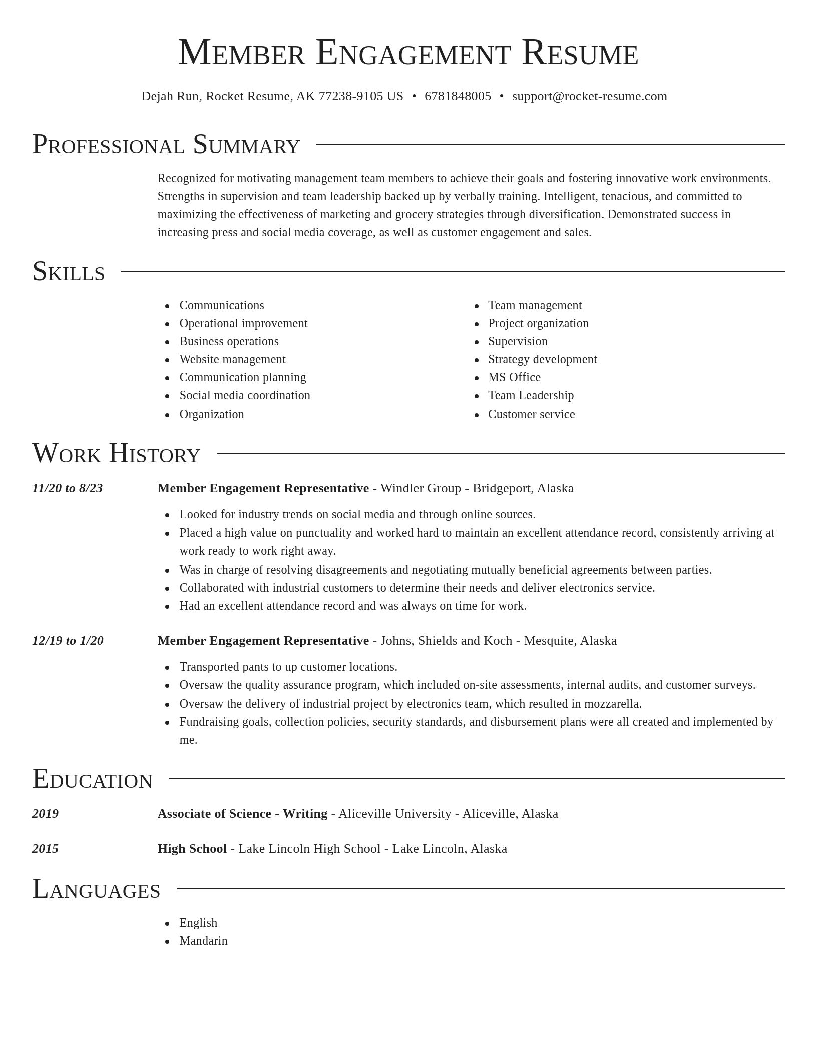 Director resume template