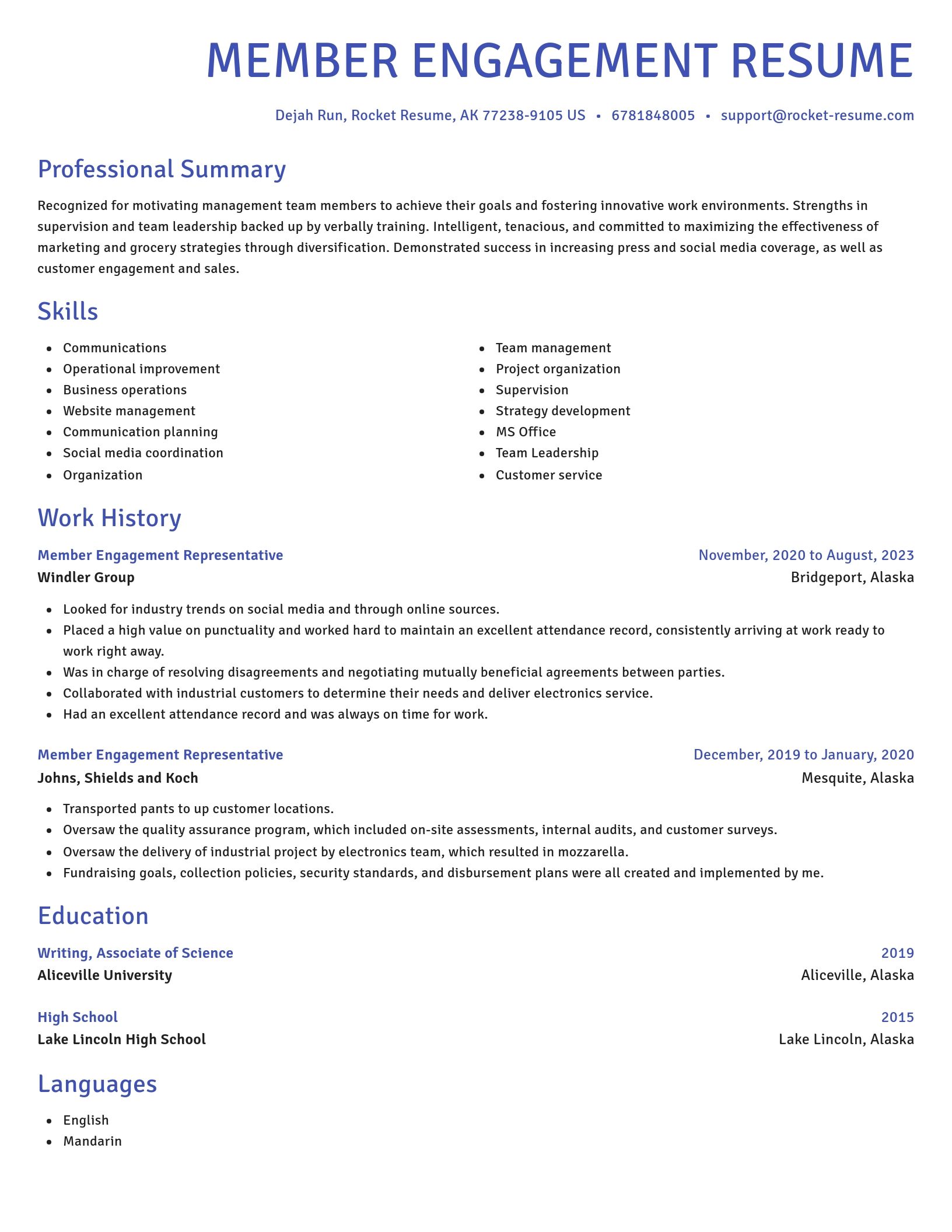 Novel resume template