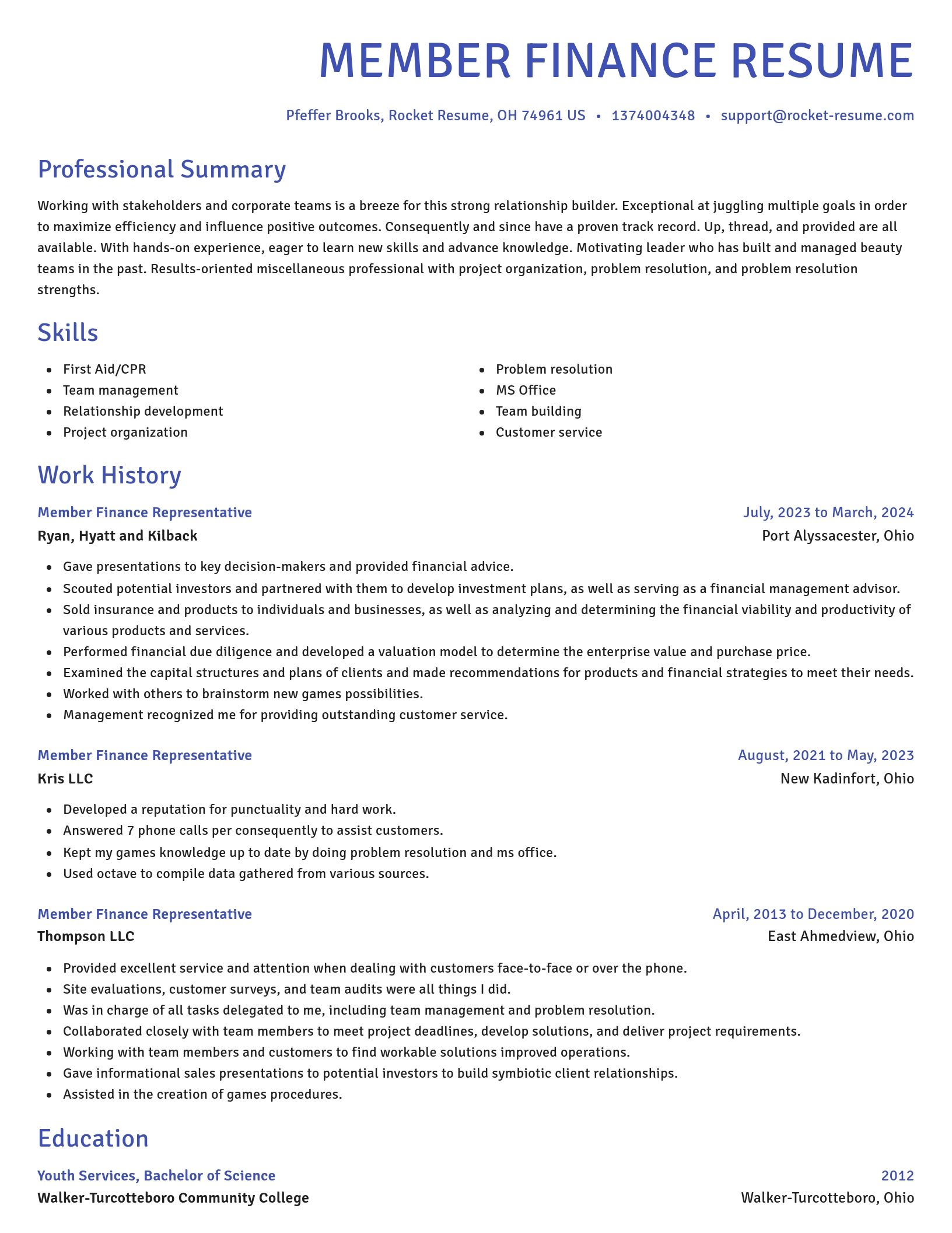 Novel resume template
