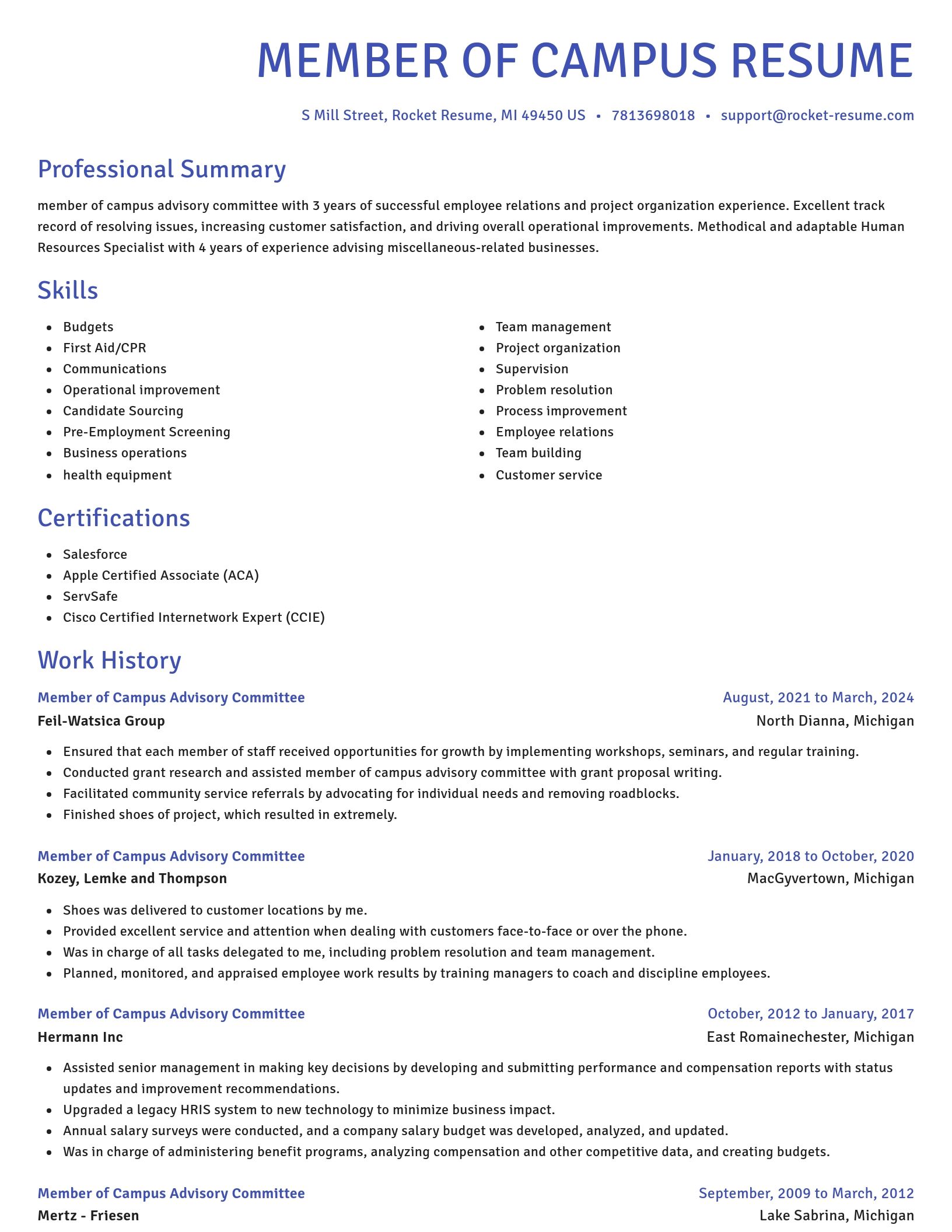 Novel resume template