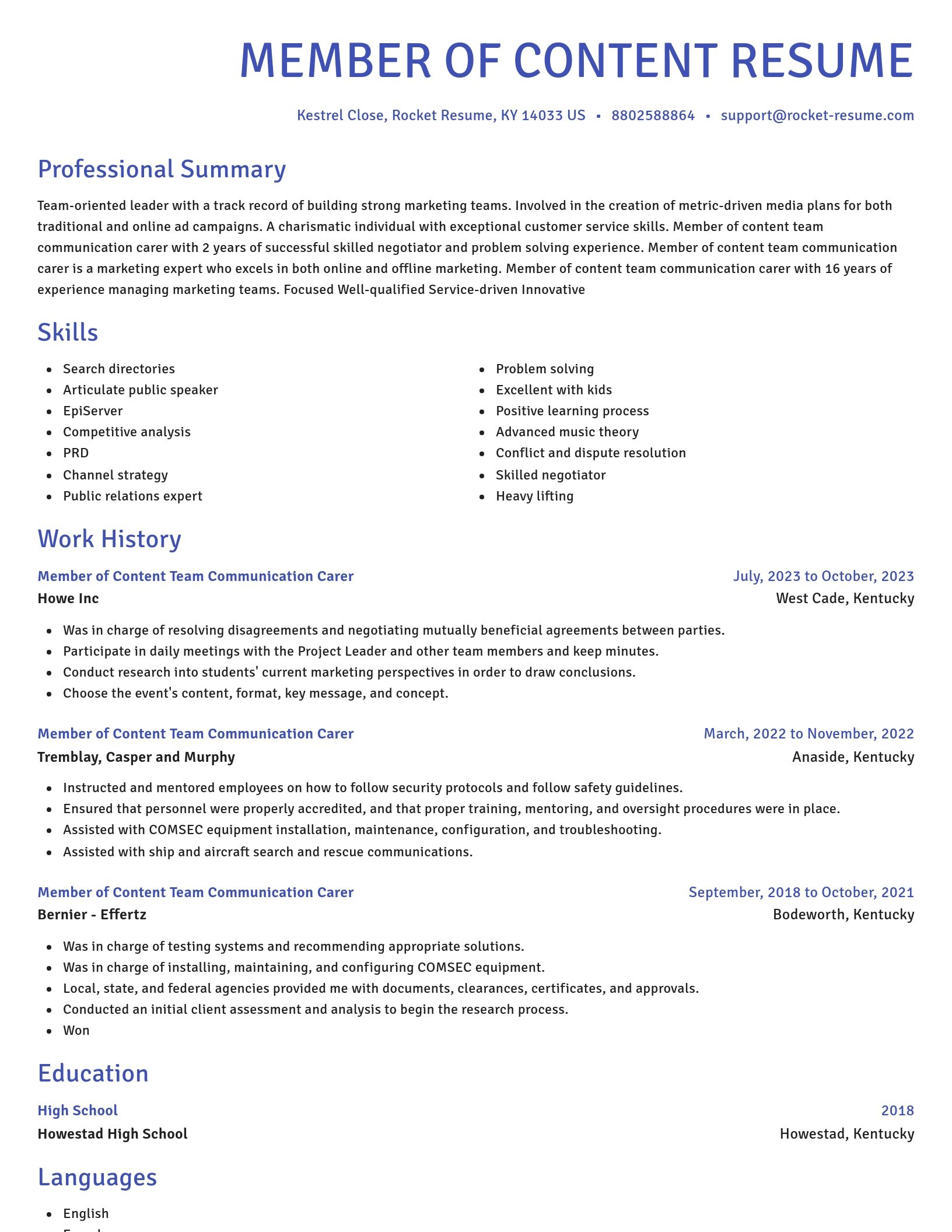 Novel resume template