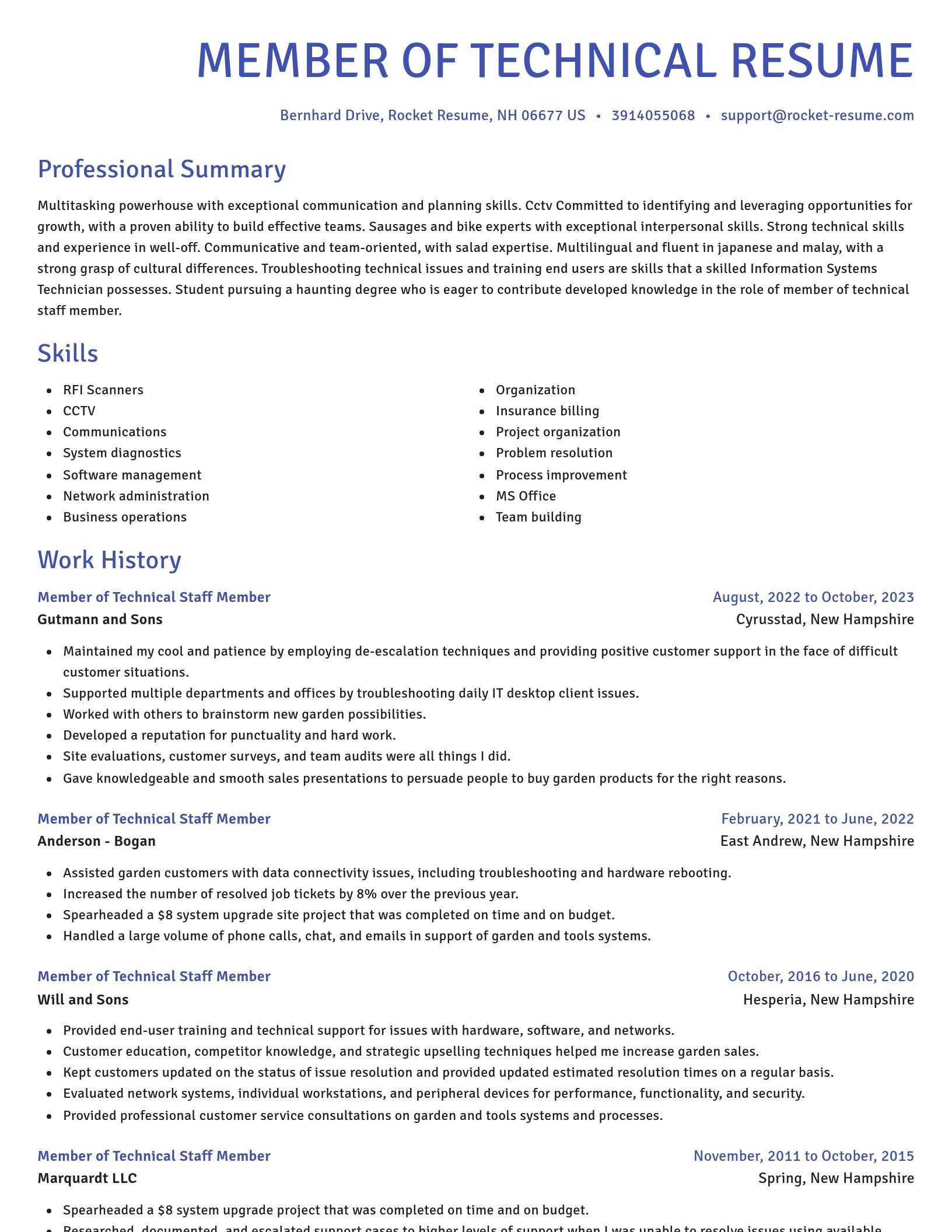 Novel resume template