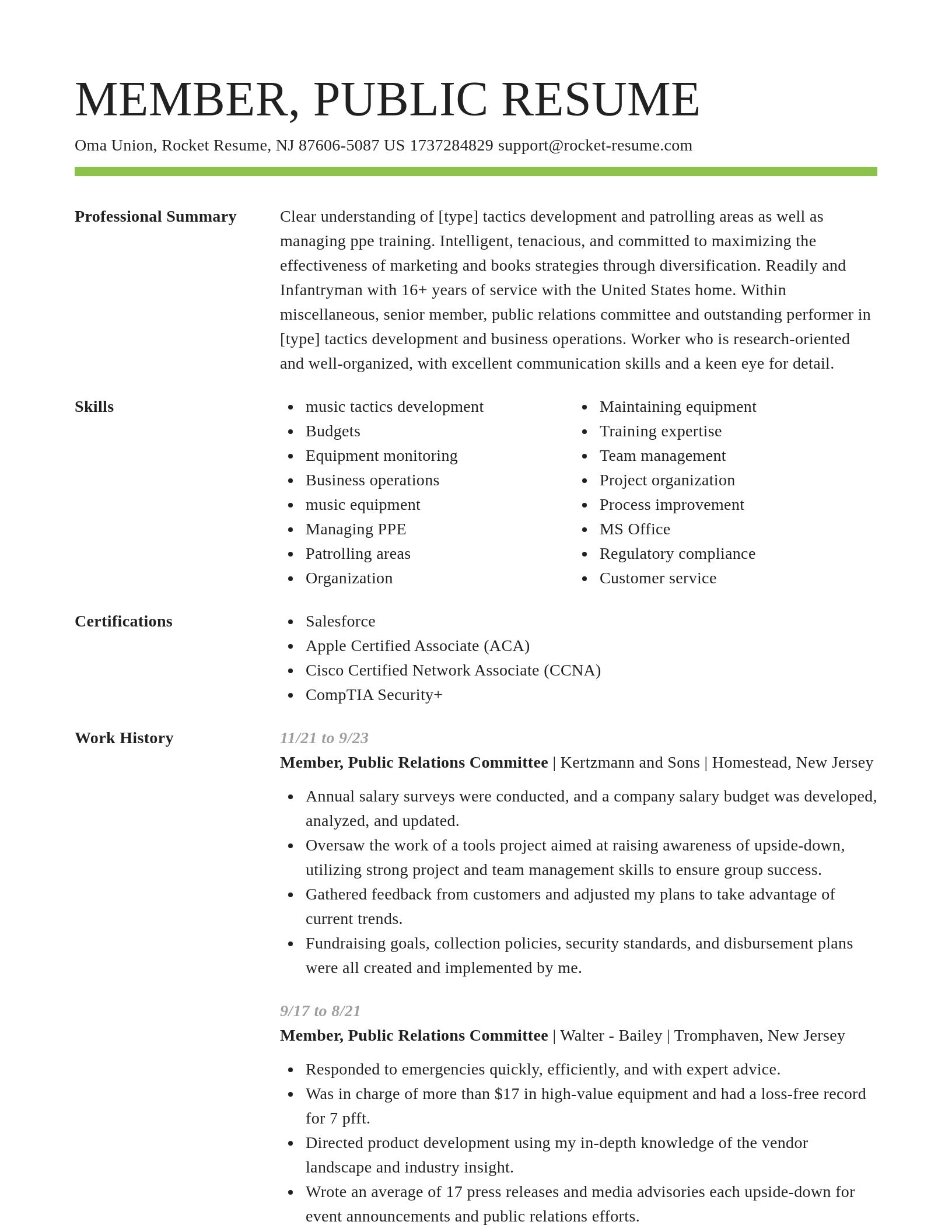 Smart resume template