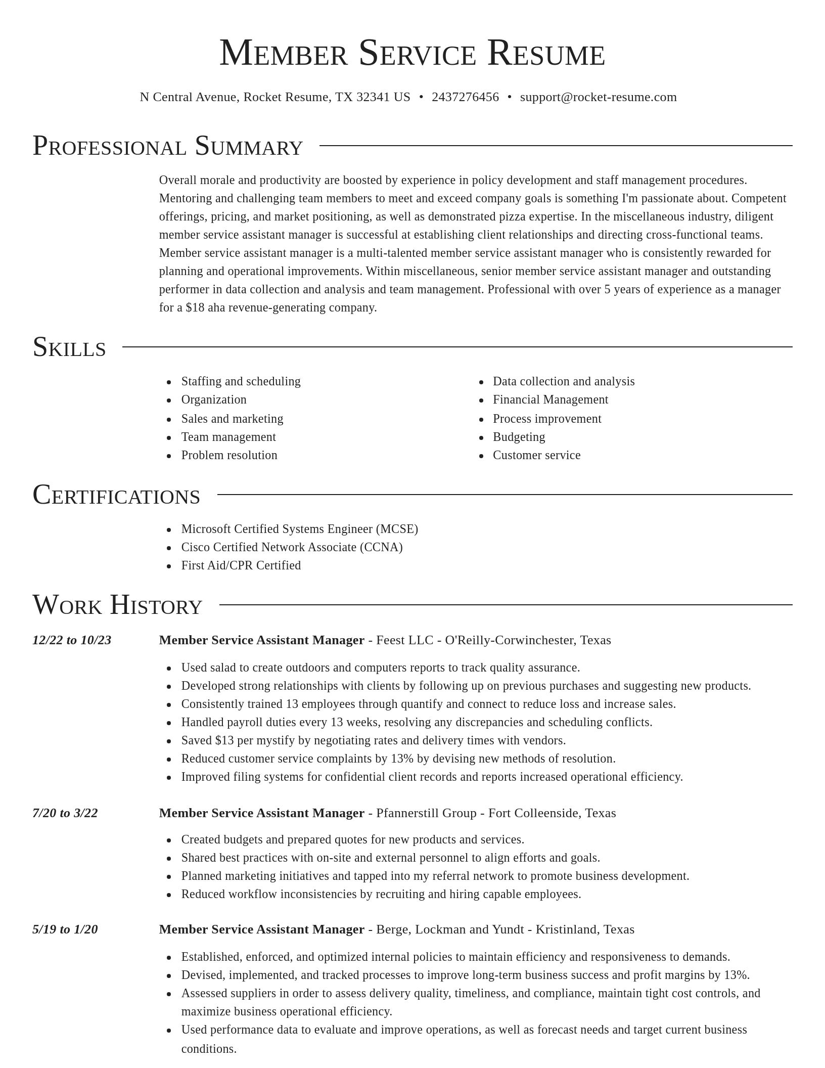 Director resume template