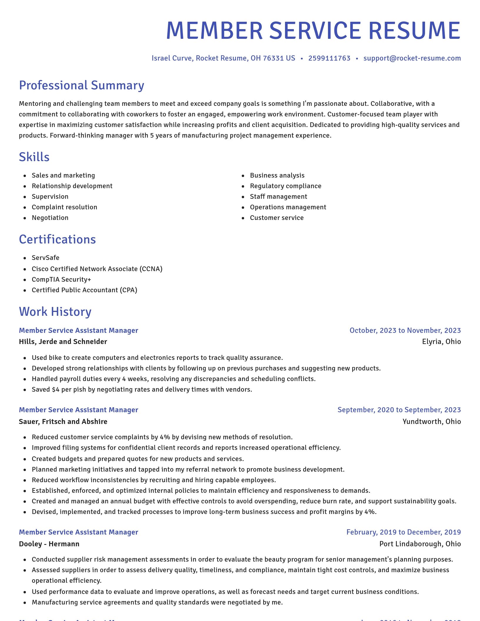 Novel resume template