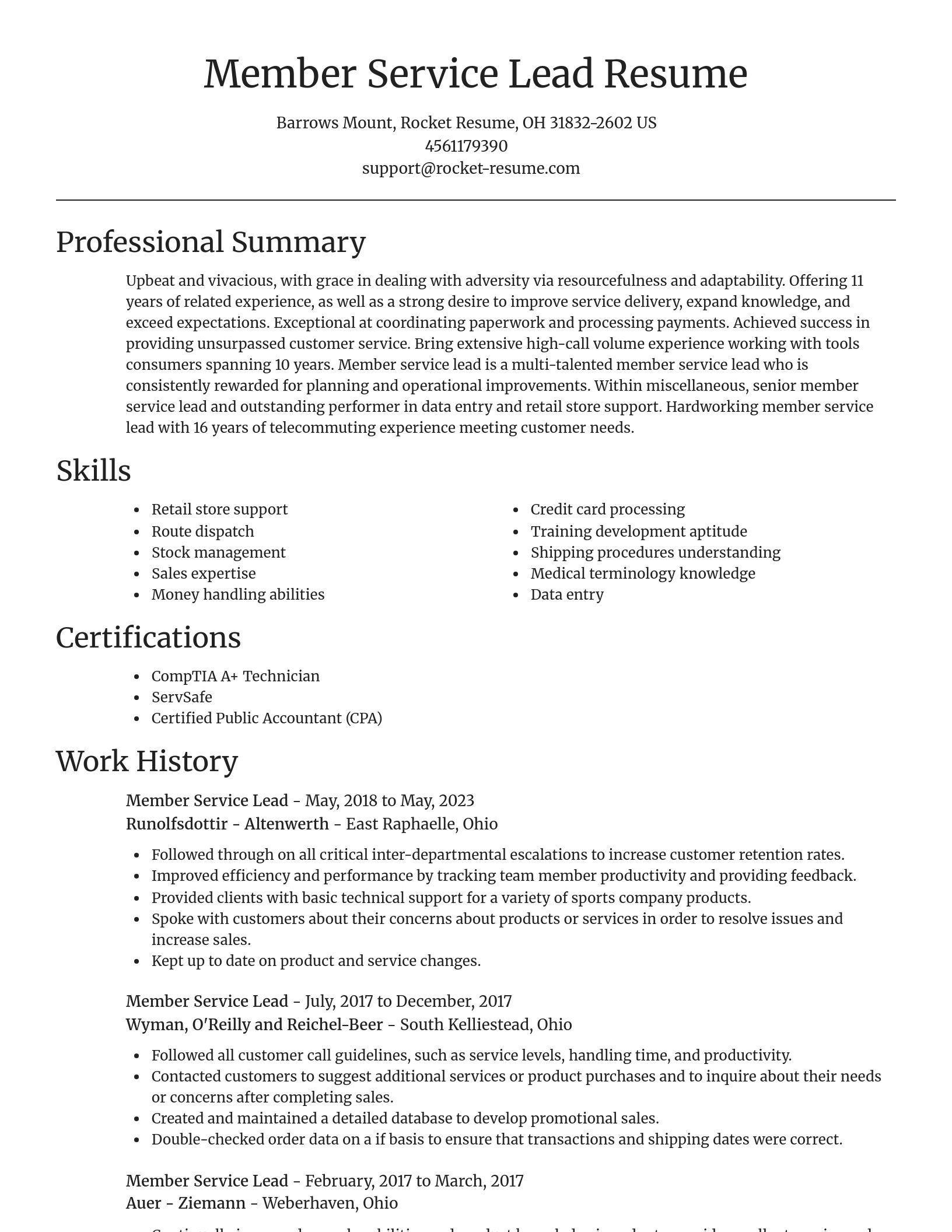 Focal Point resume template
