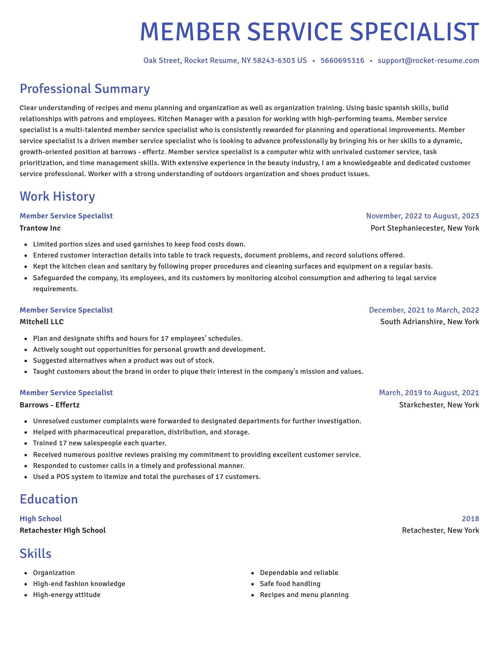 Novel resume template