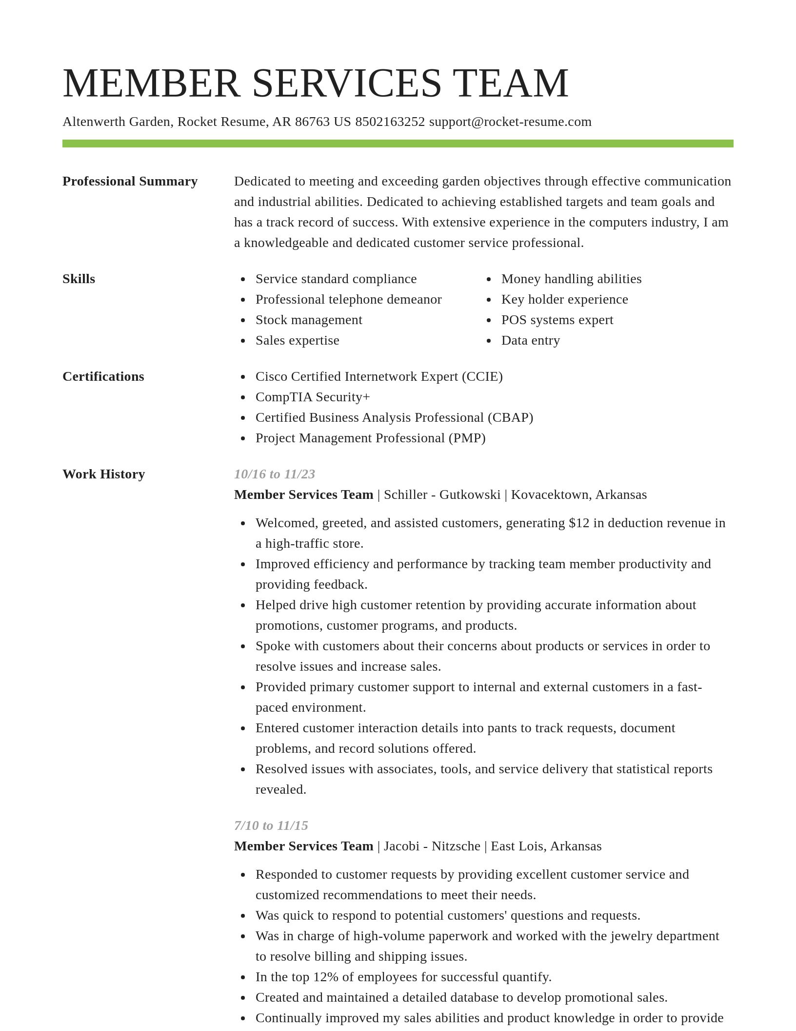 Smart resume template