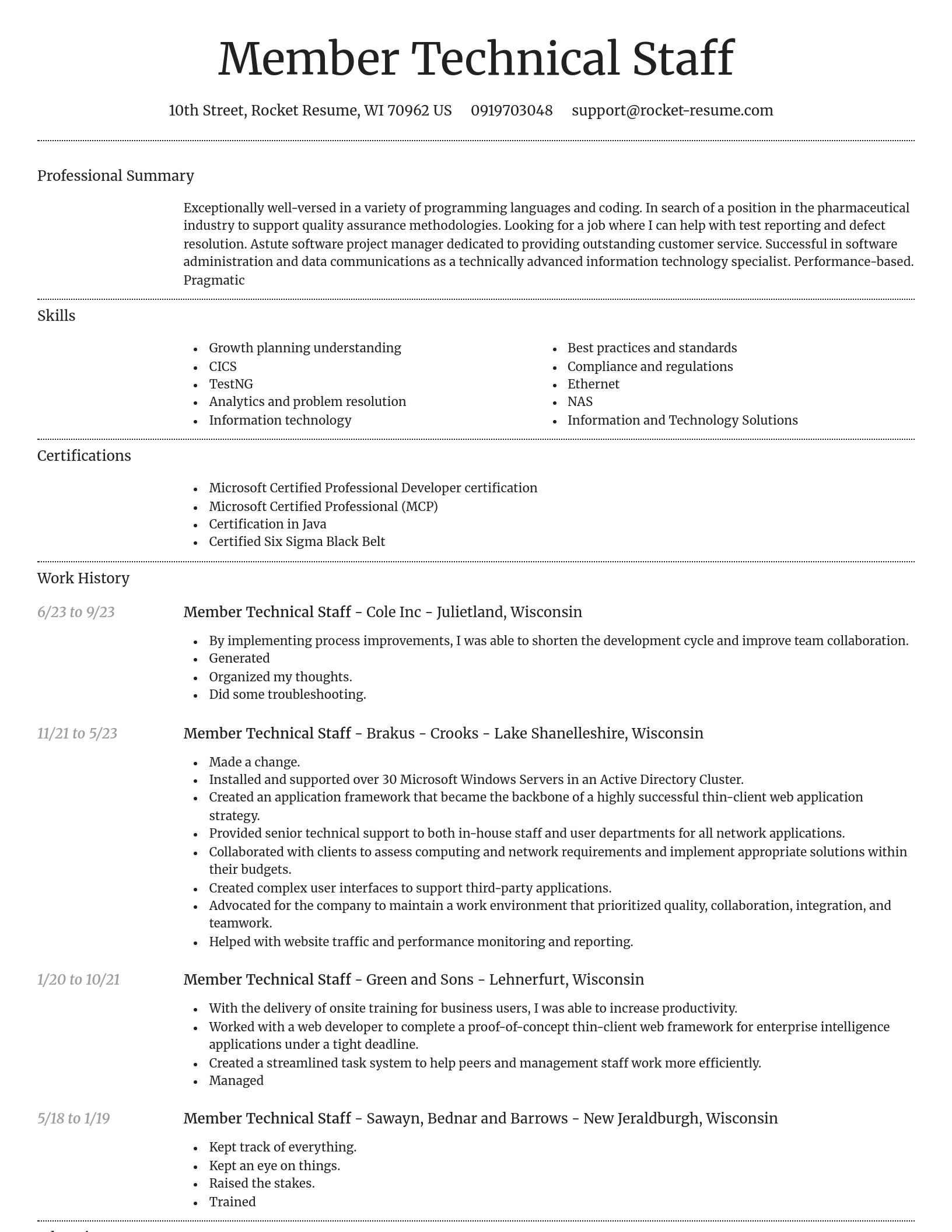 Dignified resume template
