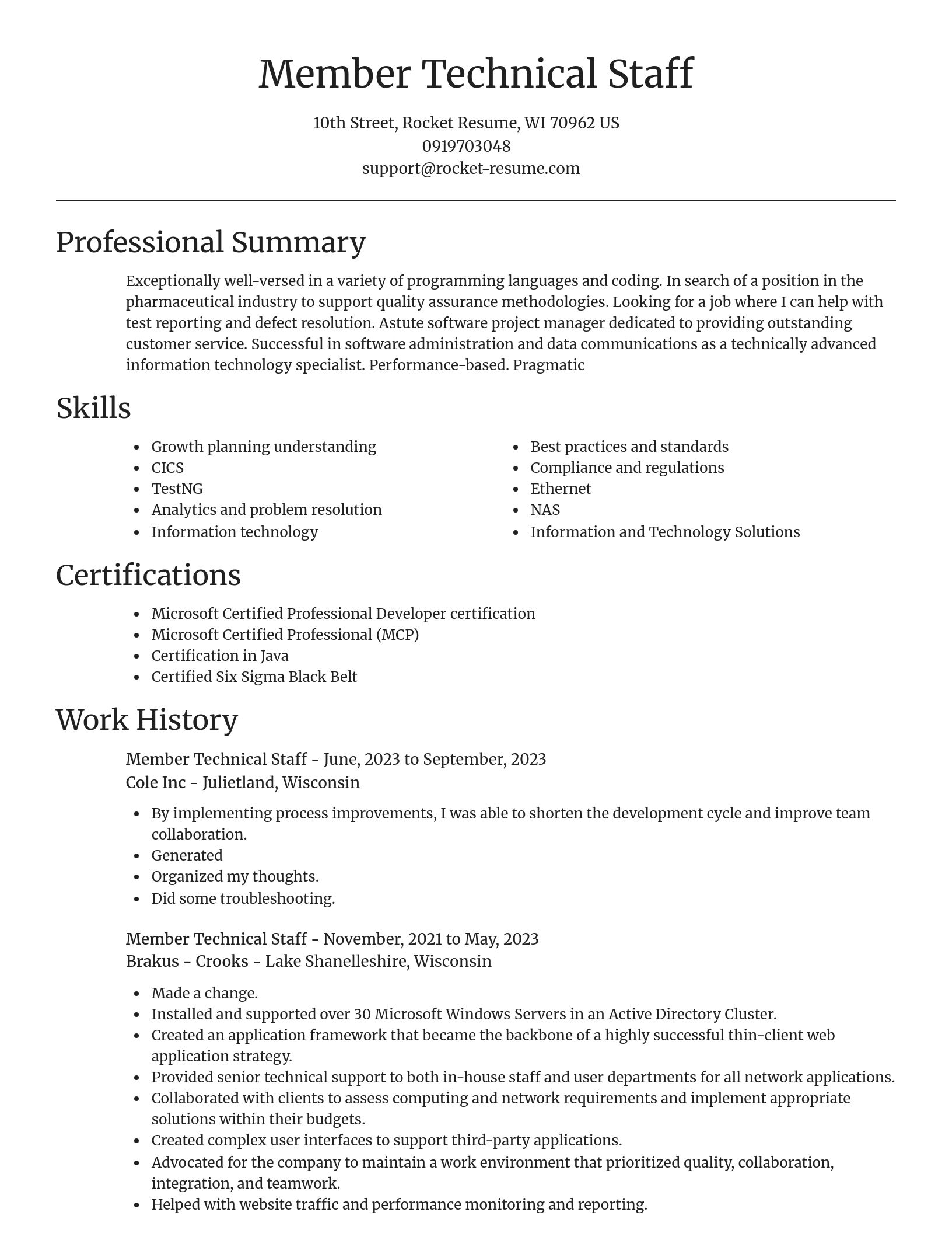 Focal Point resume template