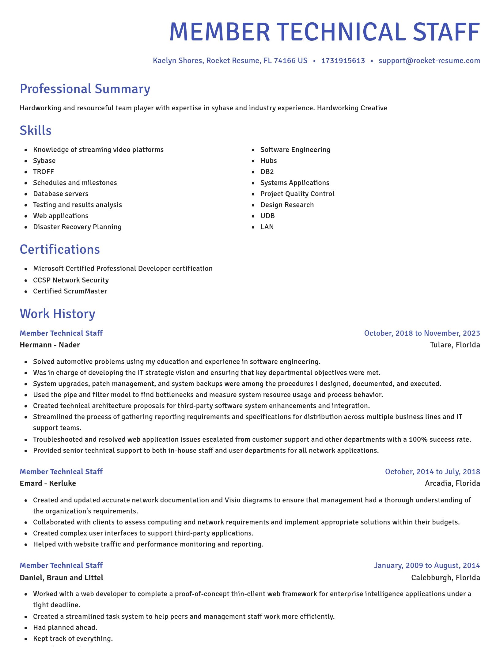 Novel resume template